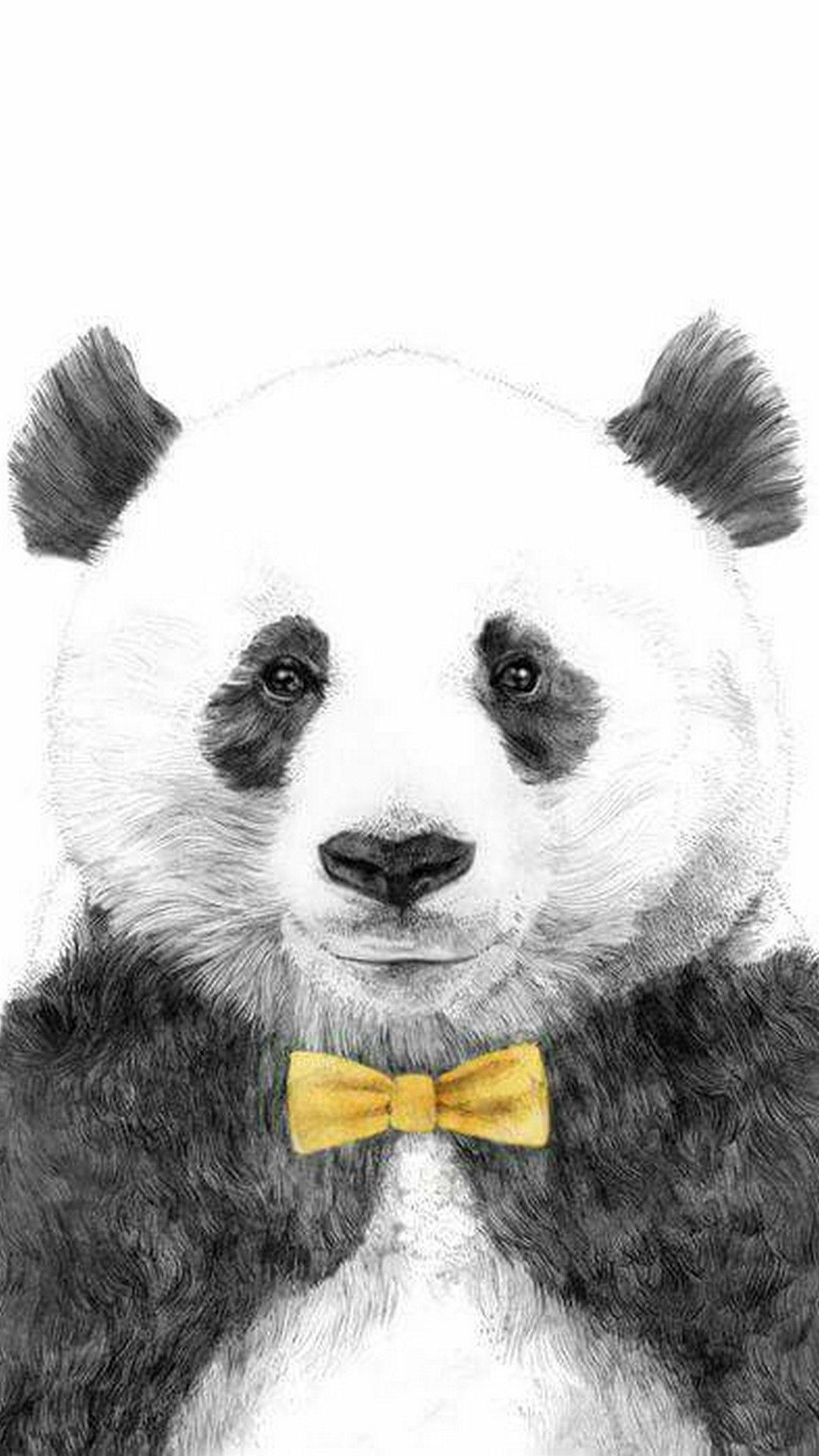 Panda Wallpaper For Phone. Best HD Wallpaper. Panda in 2019