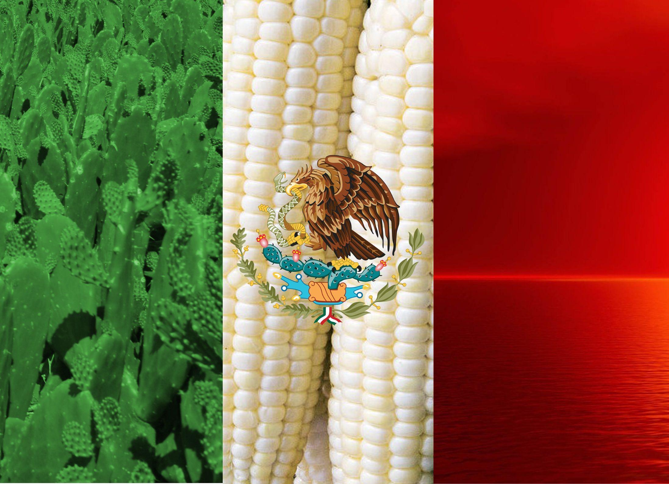 Mexico Flag Wallpaper Desktop