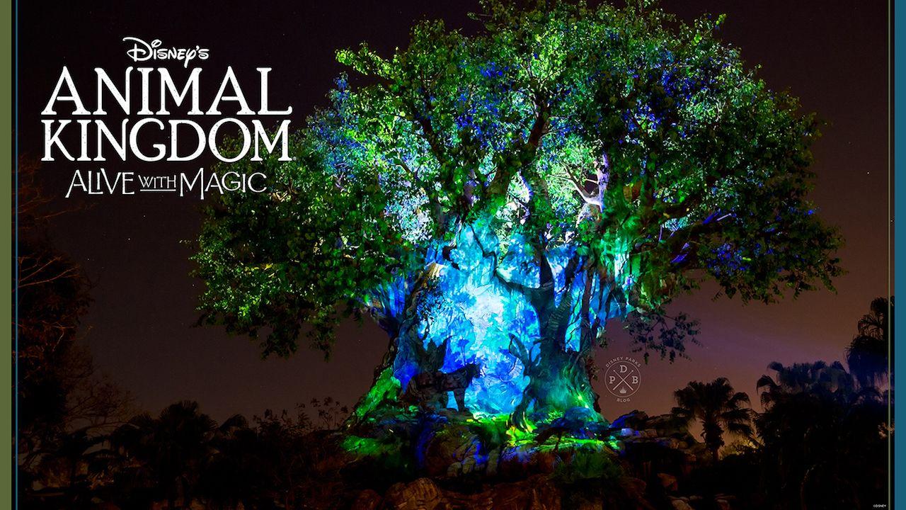 Download Our Disney's Animal Kingdom 'Nighttime'-Inspired Wallpaper