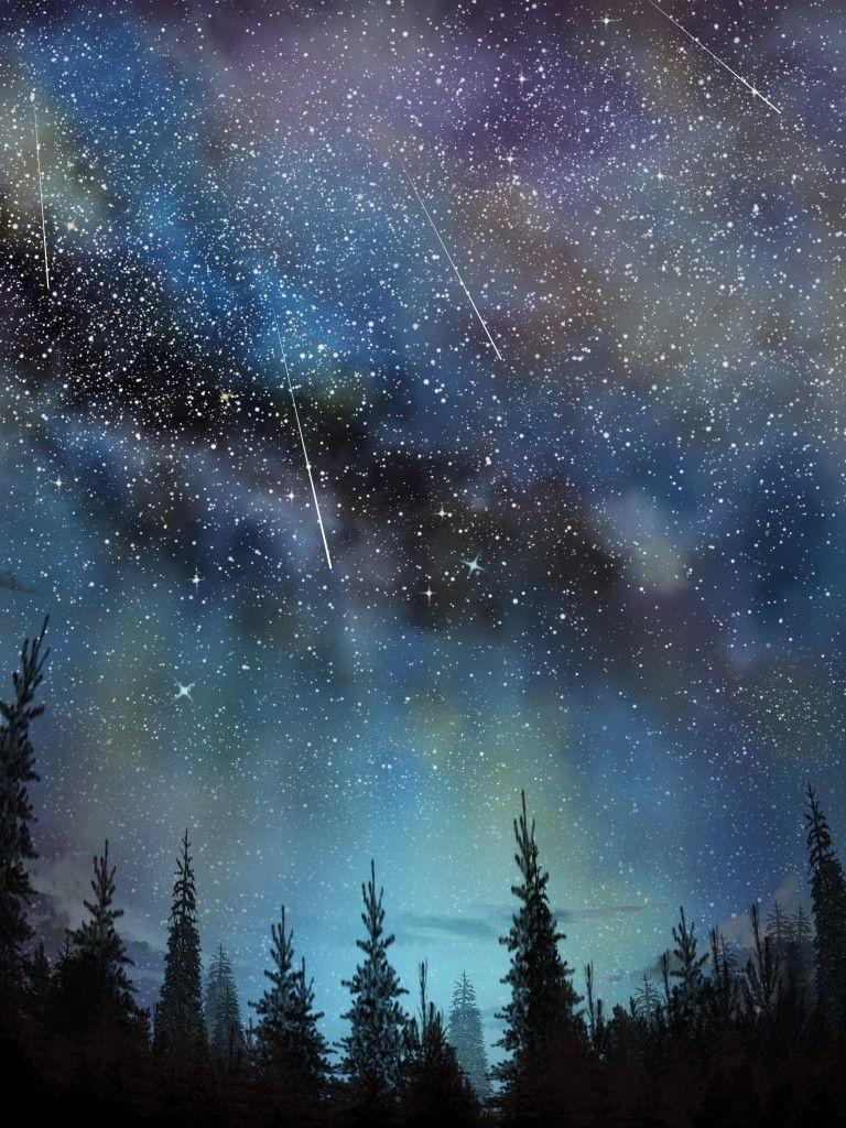 Download 768x1024 Stars, Trees, Sky, Night Wallpaper for Apple iPad