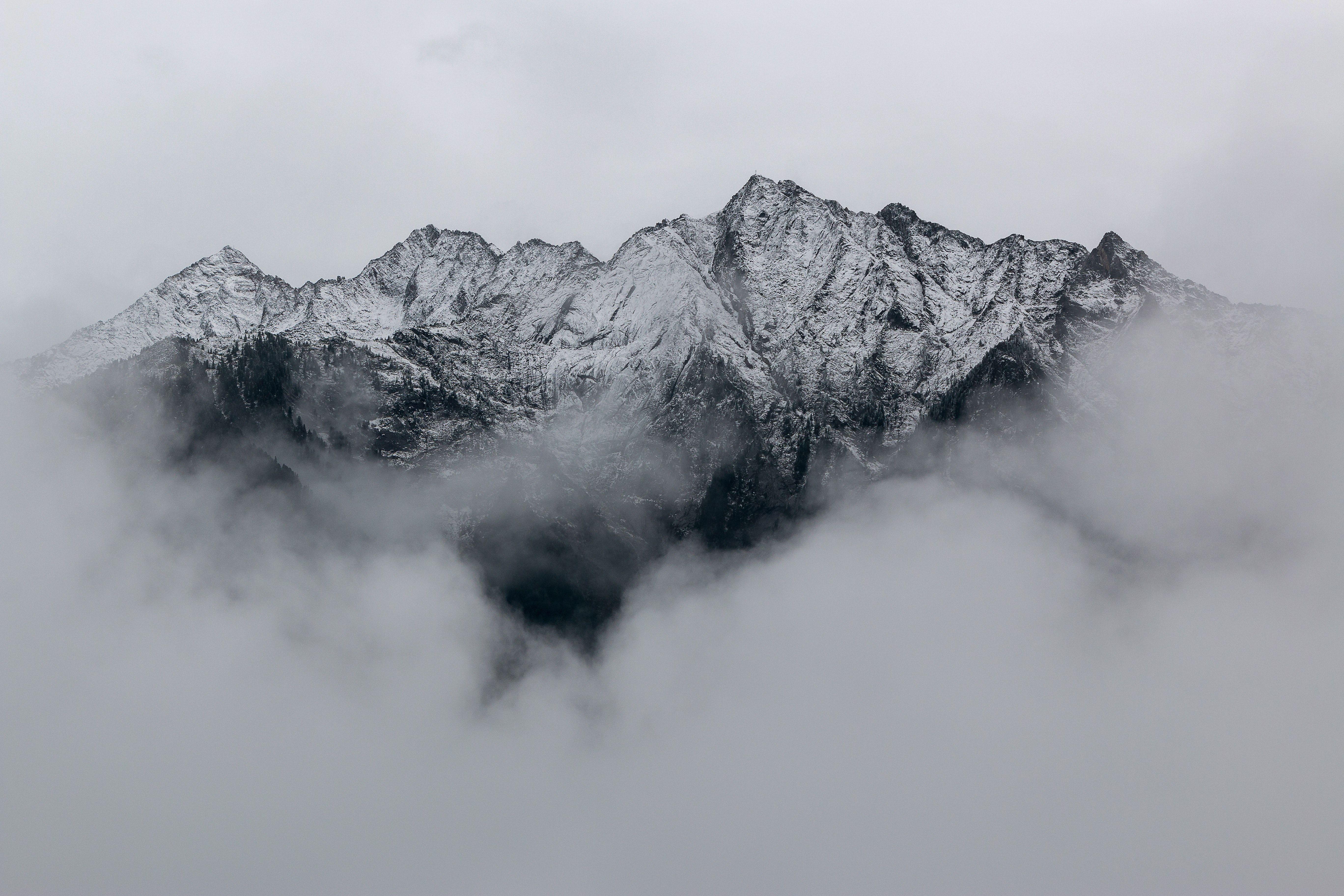 Wallpaper ID 233898  black and white image of foggy mountains with pine  tree silhouettes snowcapped peaks 4k wallpaper free download