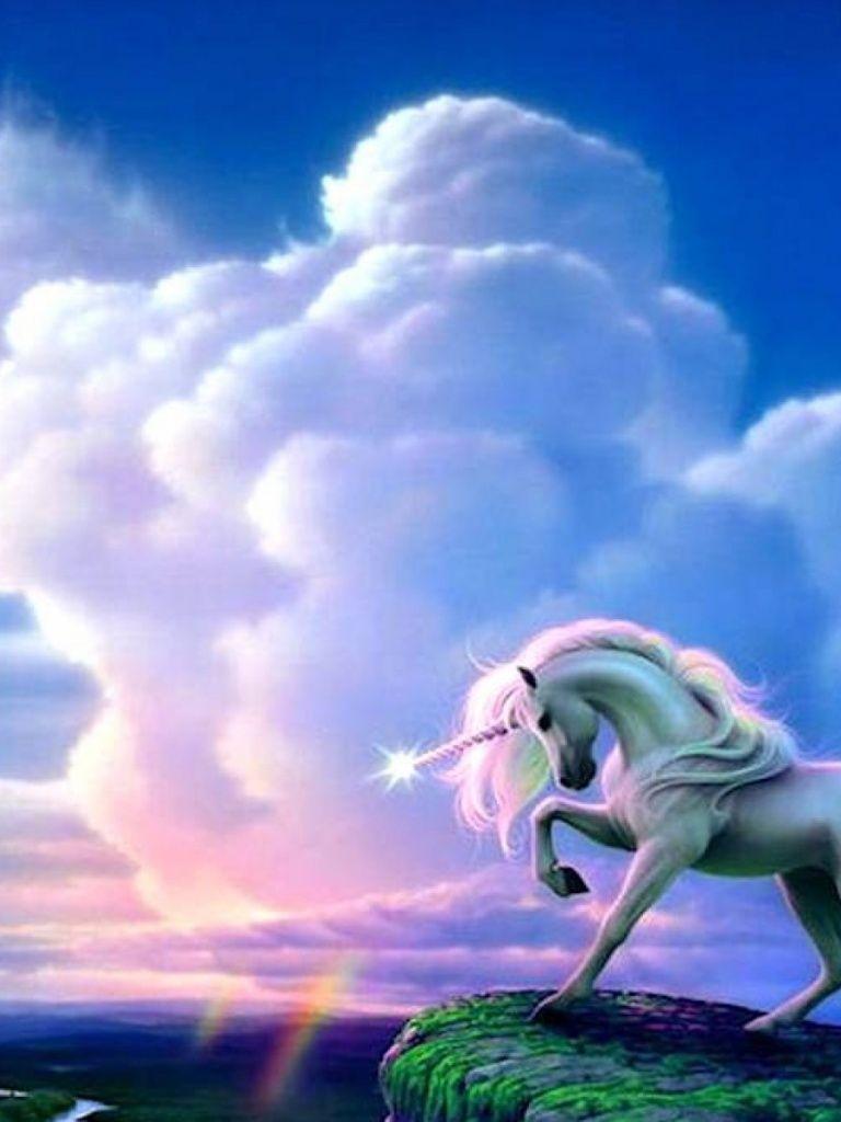 Unicorns Moment iPad mini wallpaper