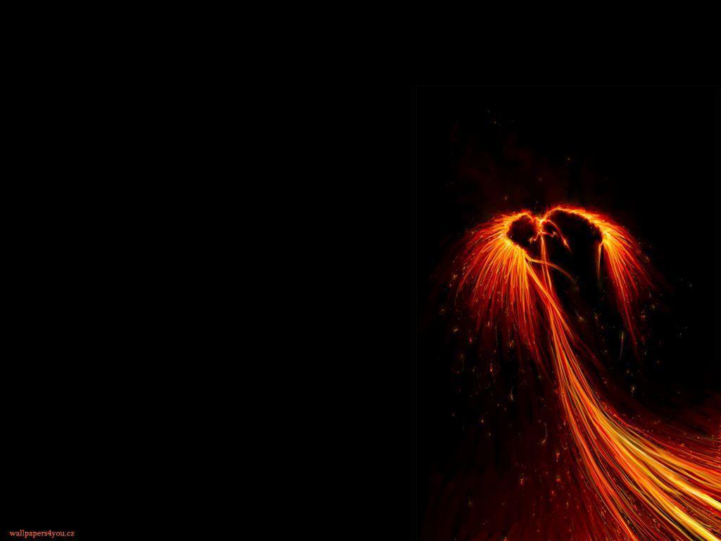 Download free phoenix wallpaper for your mobile phone by 1440×900