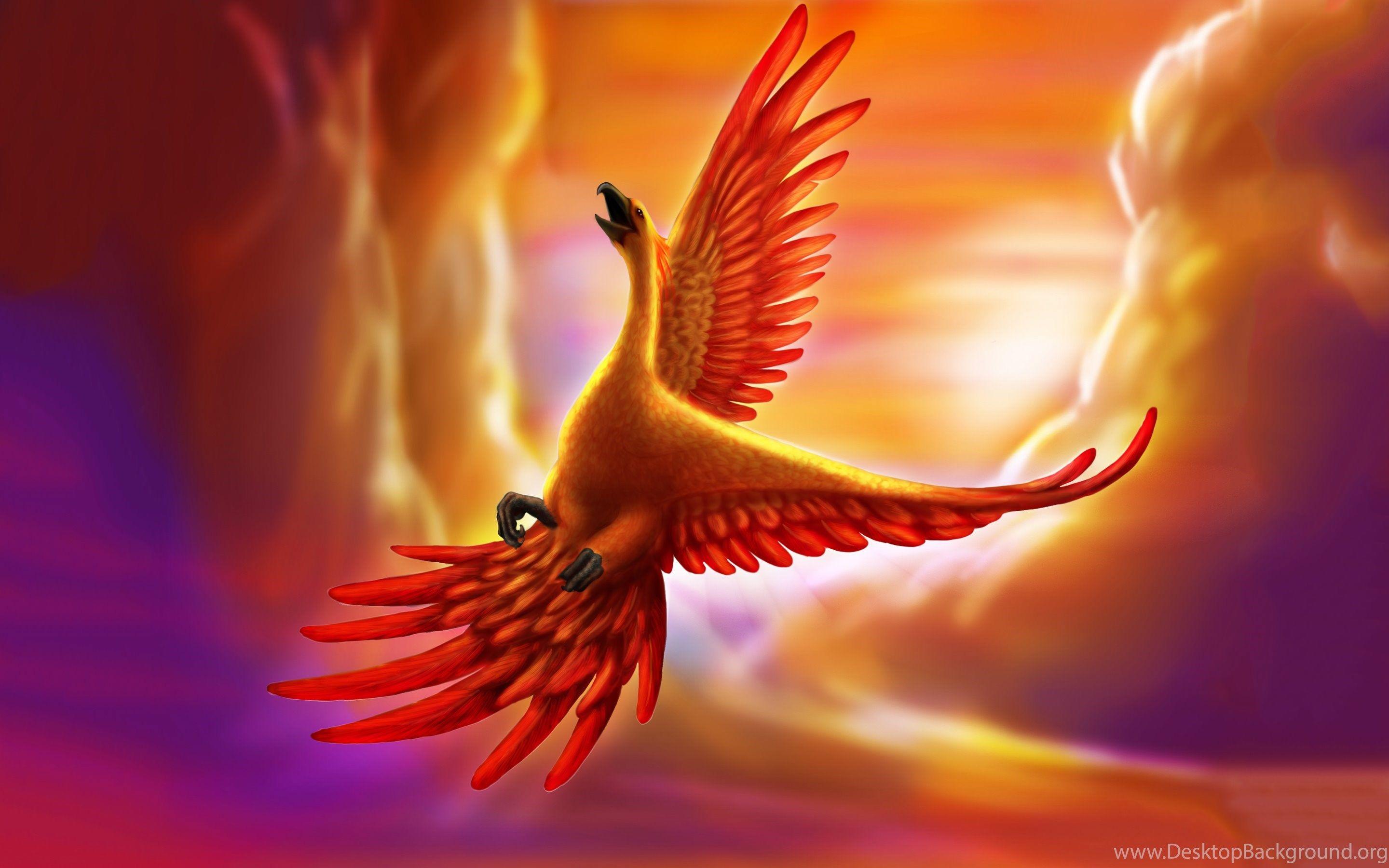 Phoenix Wallpaper Wallpaper