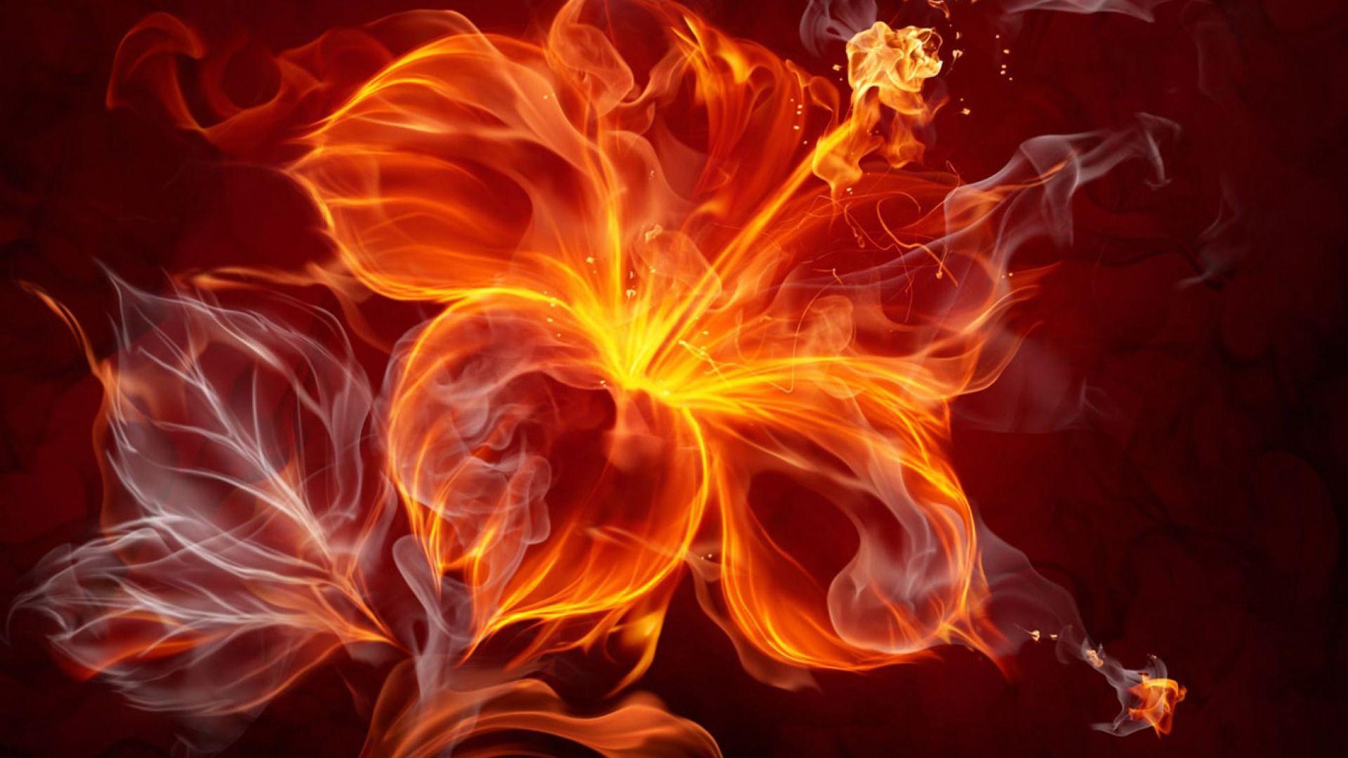 Phoenix Flower. Flower. Wallpaper, Flame art, Flowers