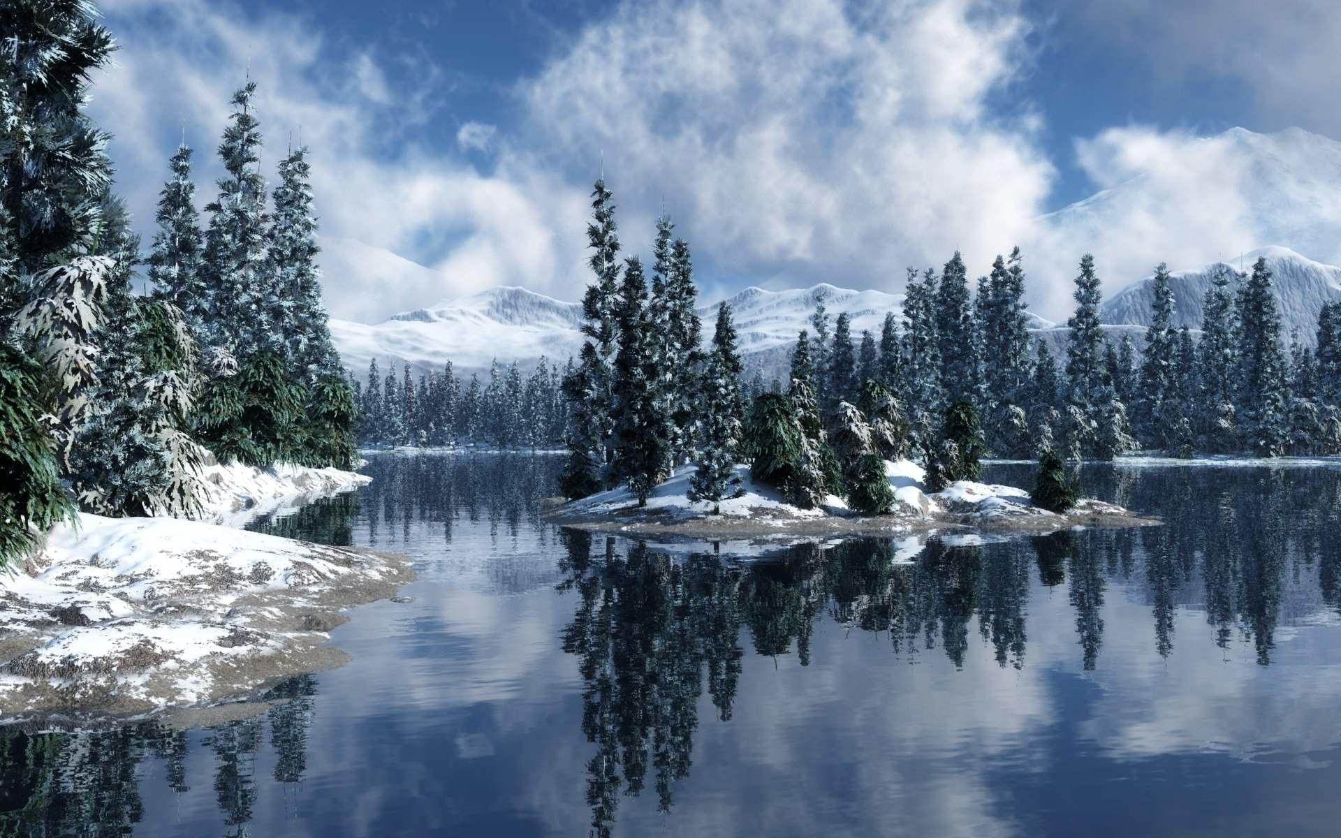 78+ Snow Forest Wallpapers