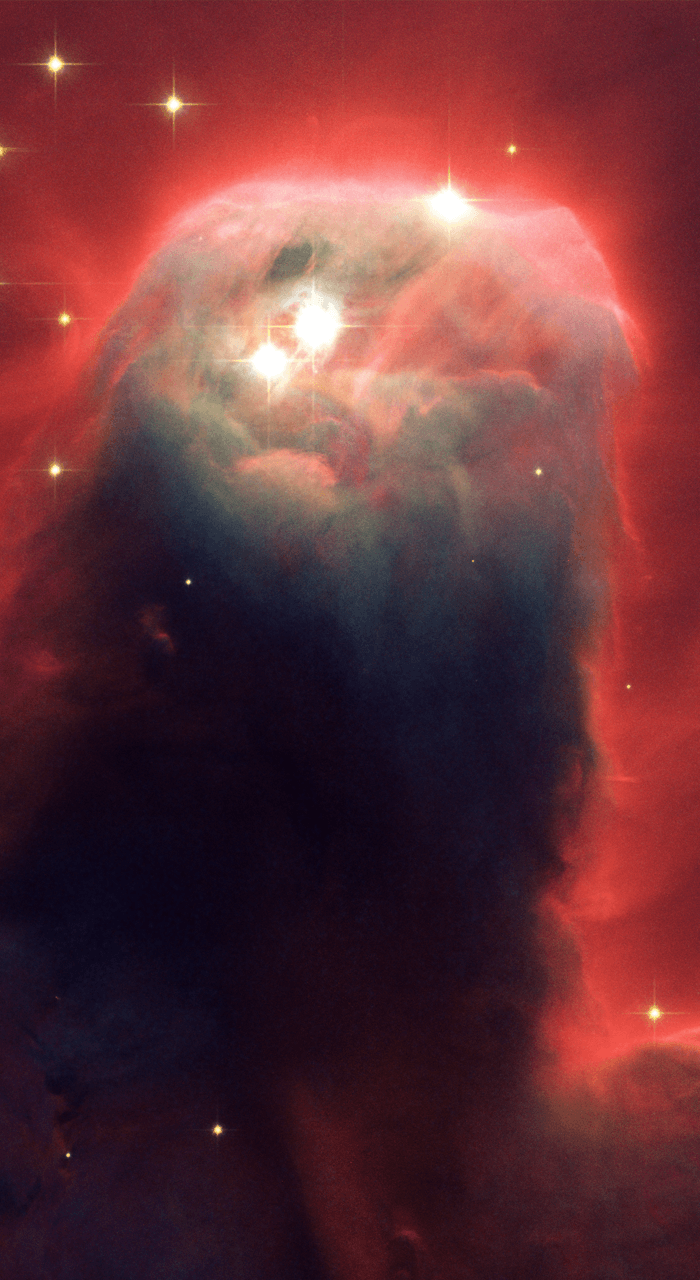 Hubble Phone Wallpaper Apes In Space