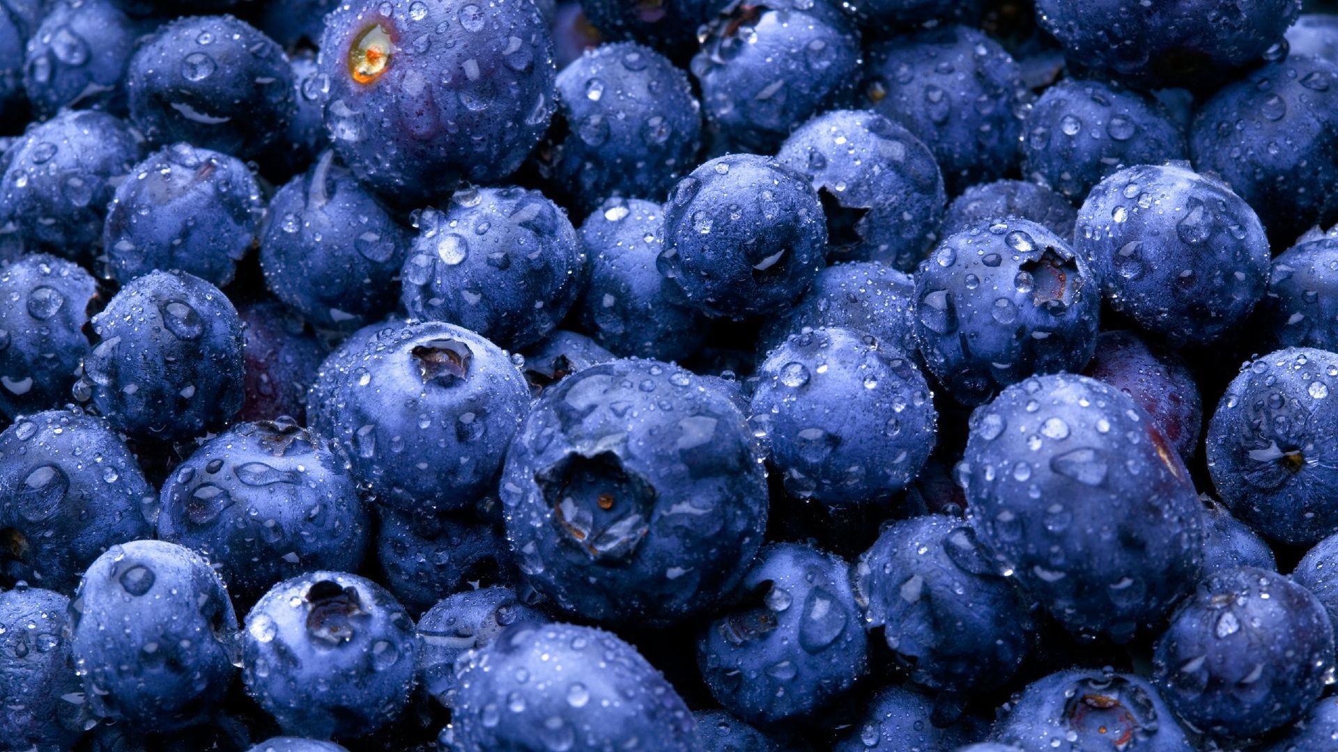 50 Best Free Blue Food Wallpapers