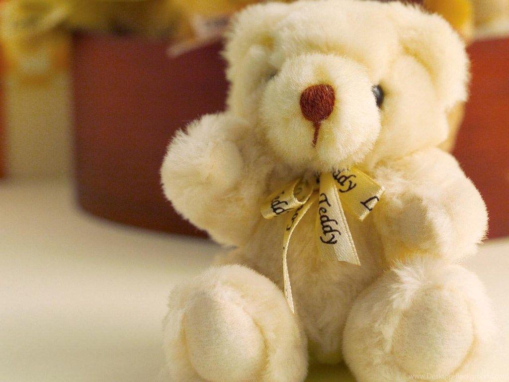 Teddy Bear Wallpaper HD Picture Desktop Background