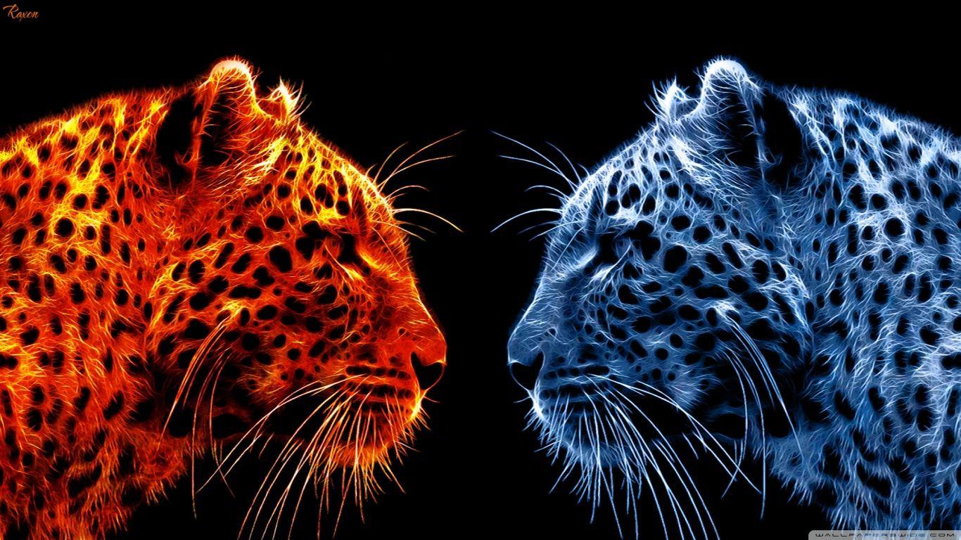 Fire And Ice Wallpaper Full HD N