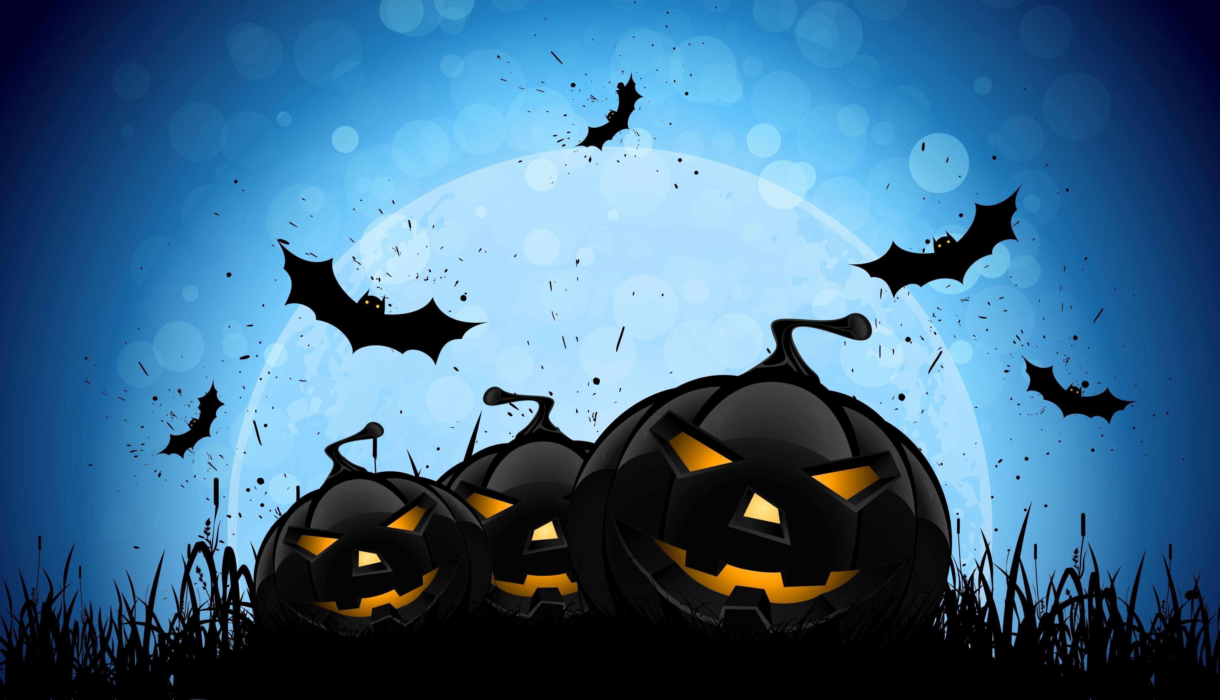 Halloween Bat 4k Laptop HD HD 4k Wallpaper, Image