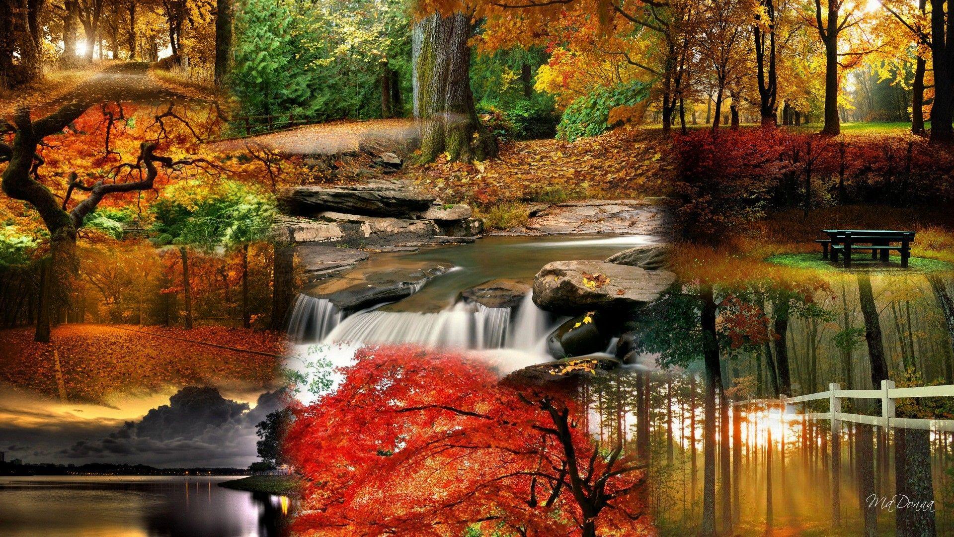 country fall wallpaper Gallery