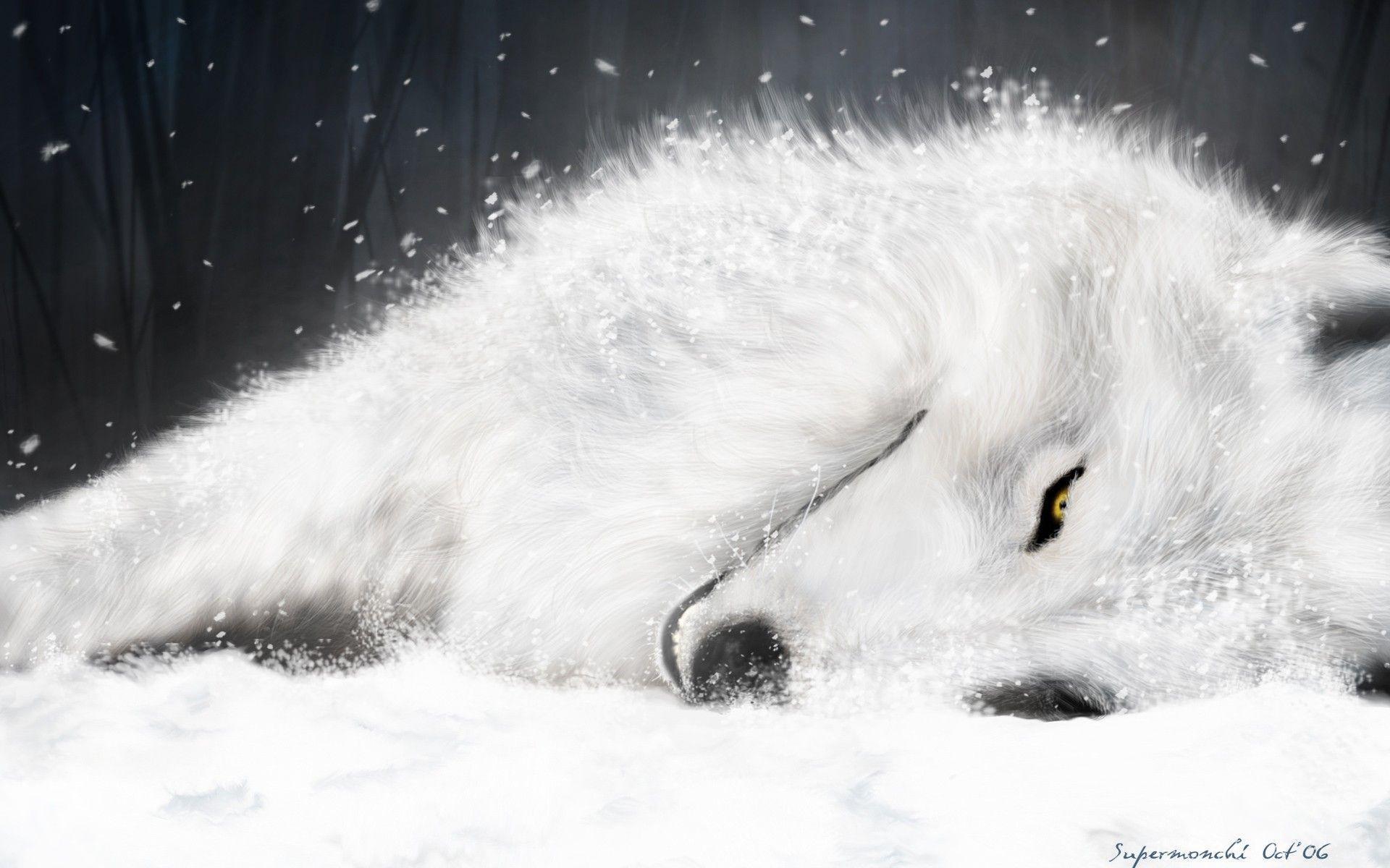 Wolf's Rain Wallpaper 1 X 1200