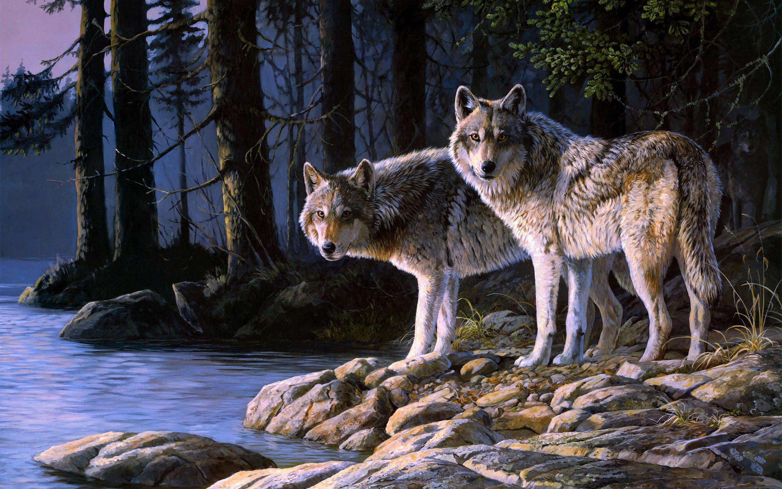 Wolf Wallpaper & Picture Full HD For iPhone & Android