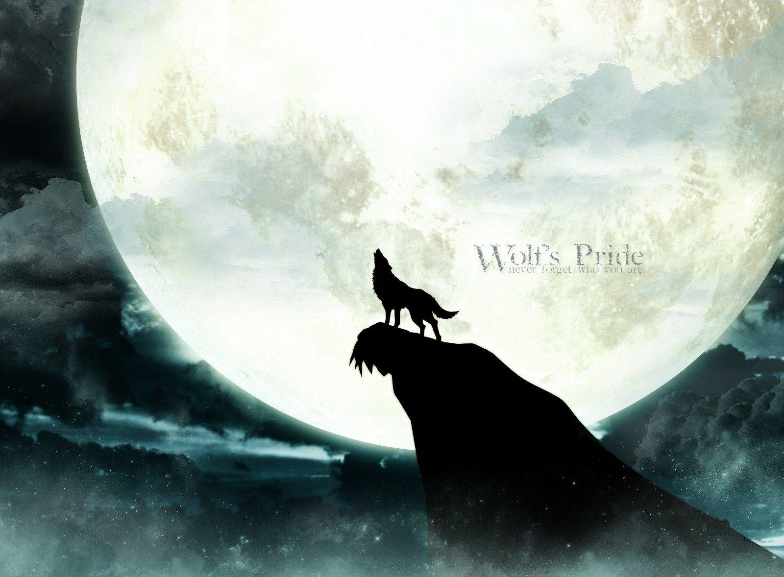 Wolf's Rain Wallpaper 5 X 1178