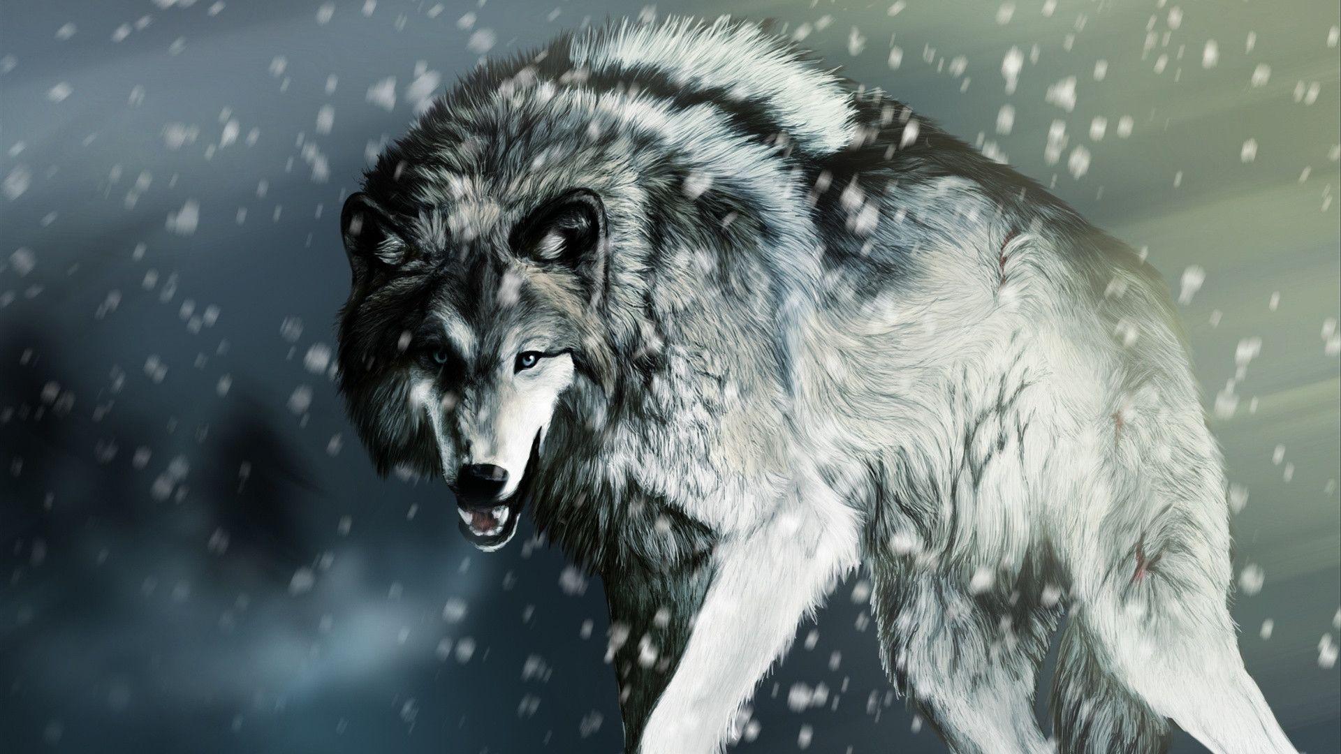 White Wolf Wallpaper