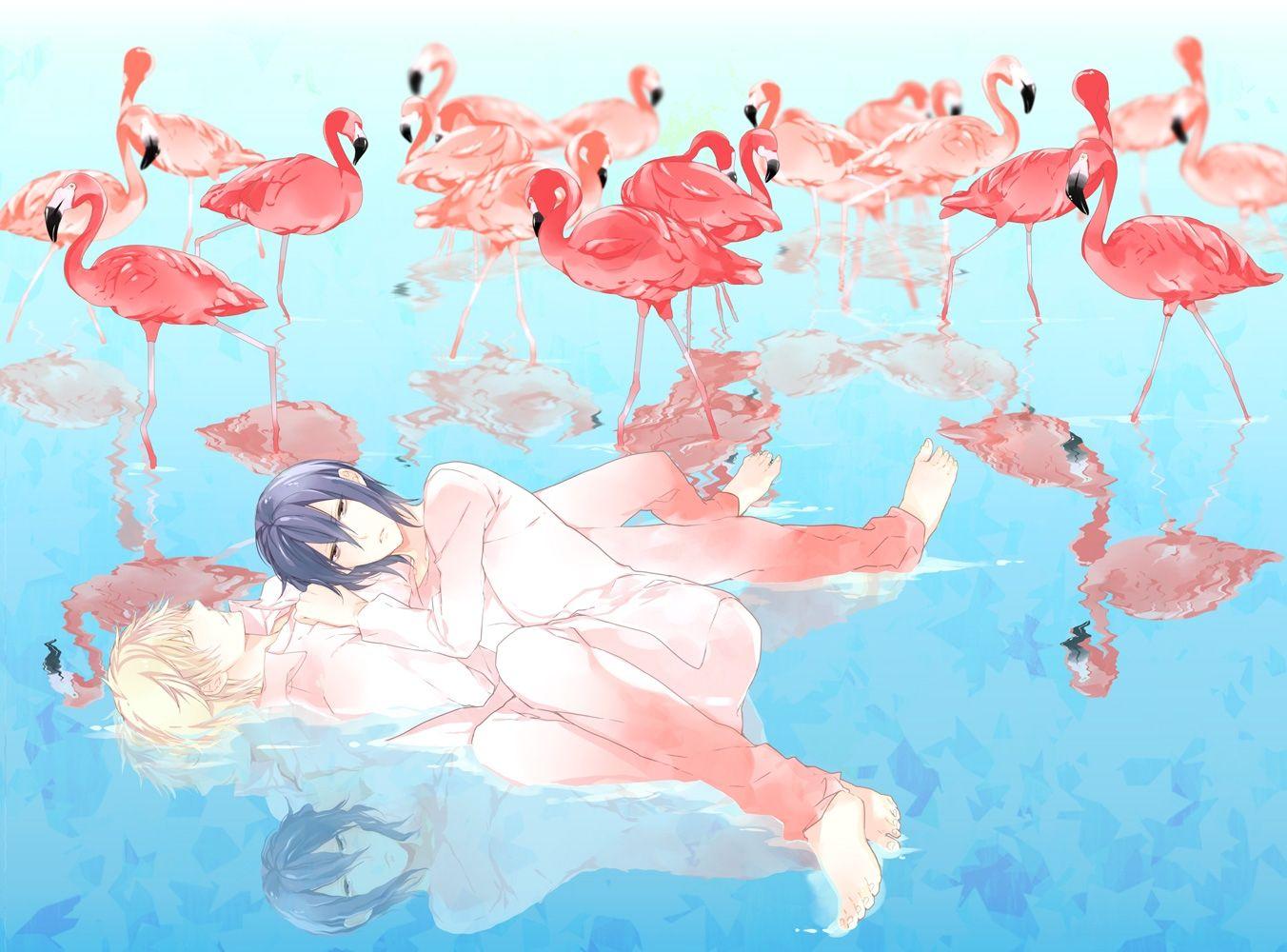 water yaoi durarara flamingos heiwajima shizuo anime anime boys