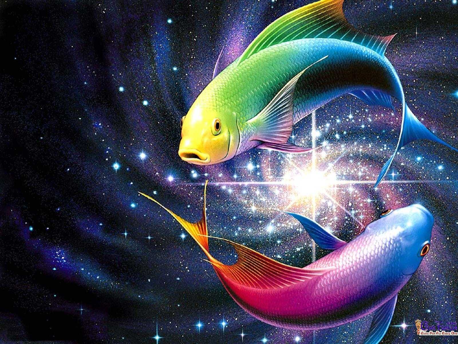 Free HD Wallpaper. Free Download HD Wallpaper