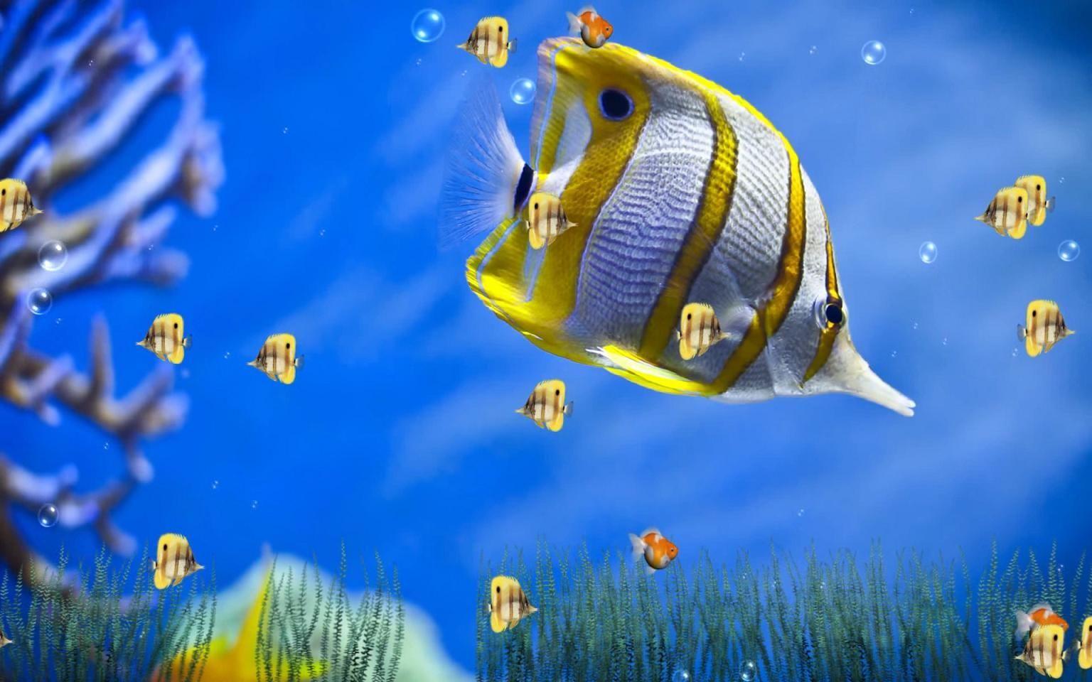 moving fish background free no downloads. Animated Wallpaper