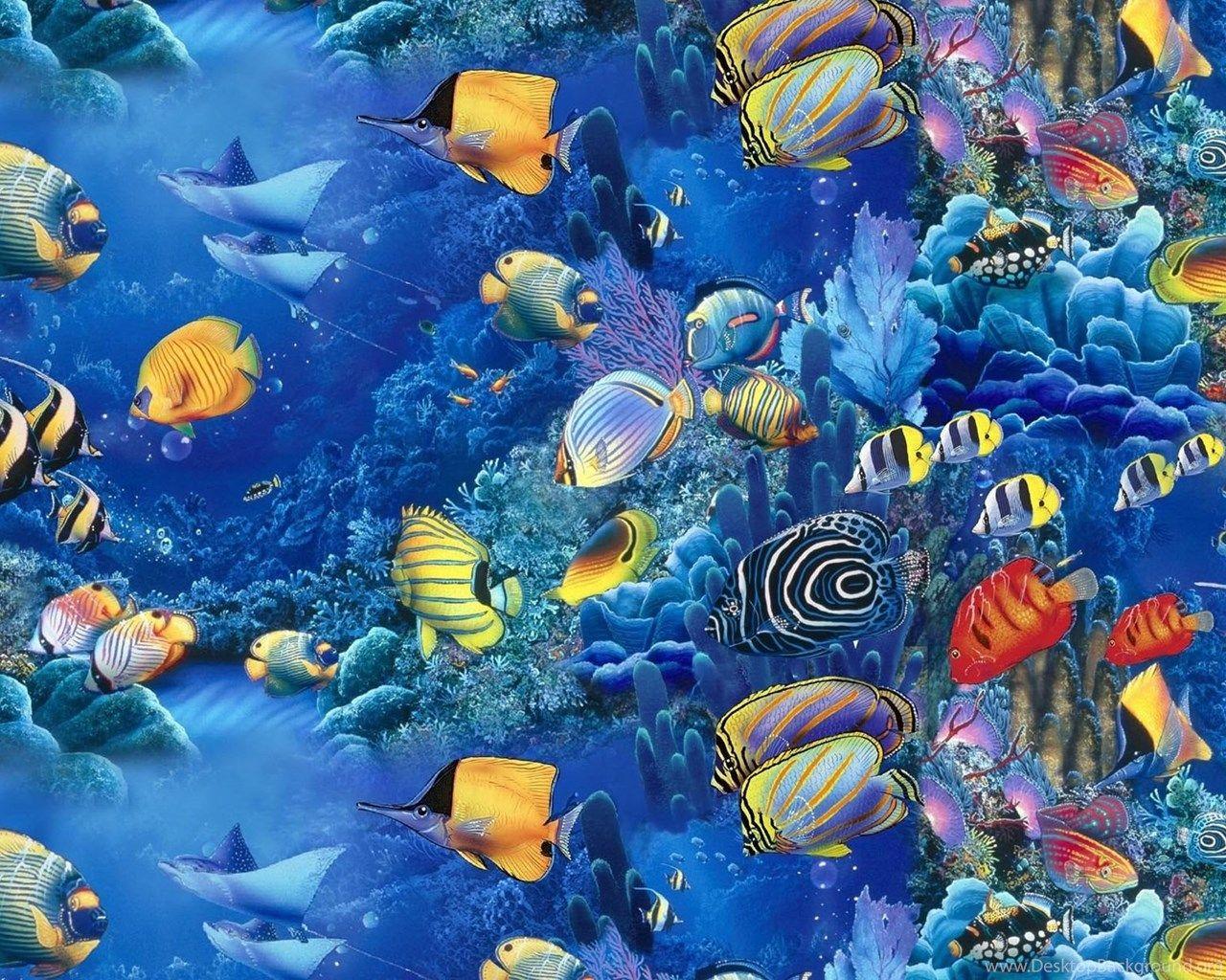Aquarium Fishes Wallpaper 103402 Desktop Background