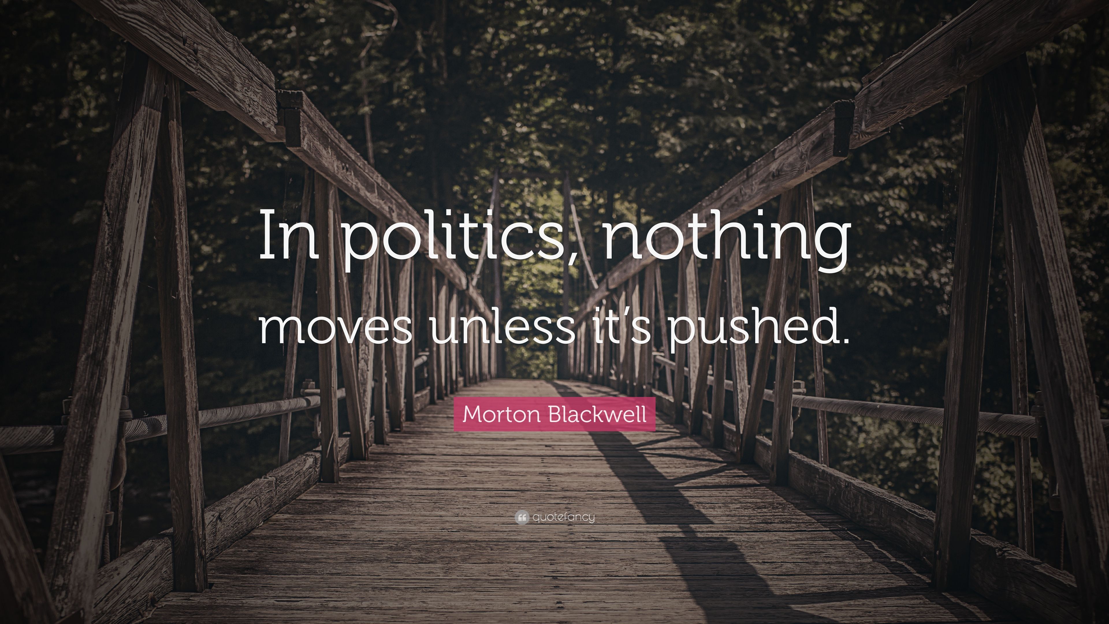 Morton Blackwell Quote: “In politics, nothing moves unless it's