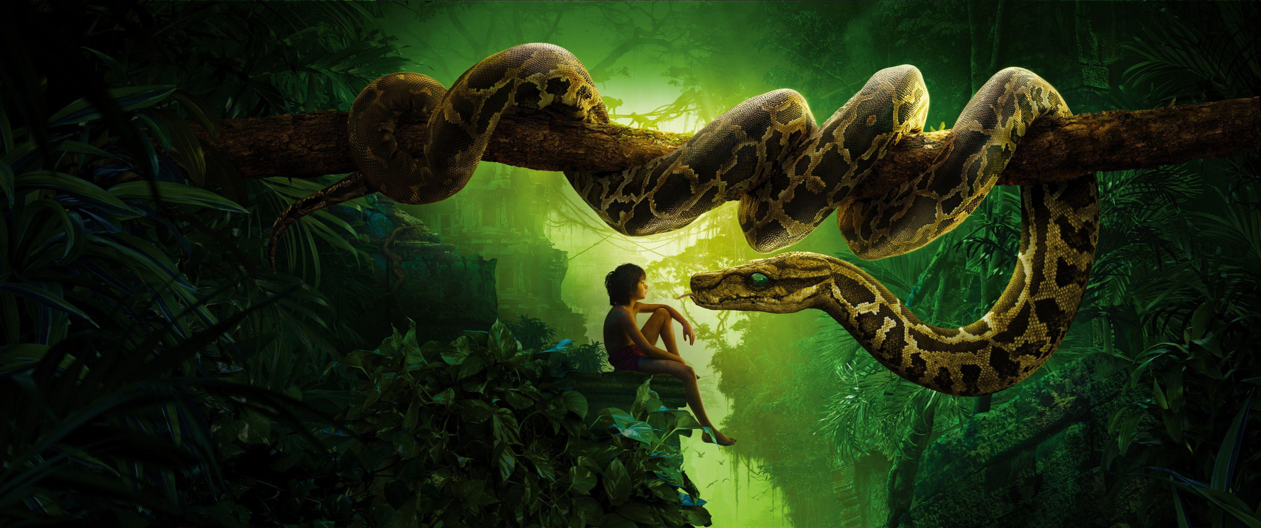 Wallpaper Jungle Book, Mowgli, Kaa, Snake, Movies