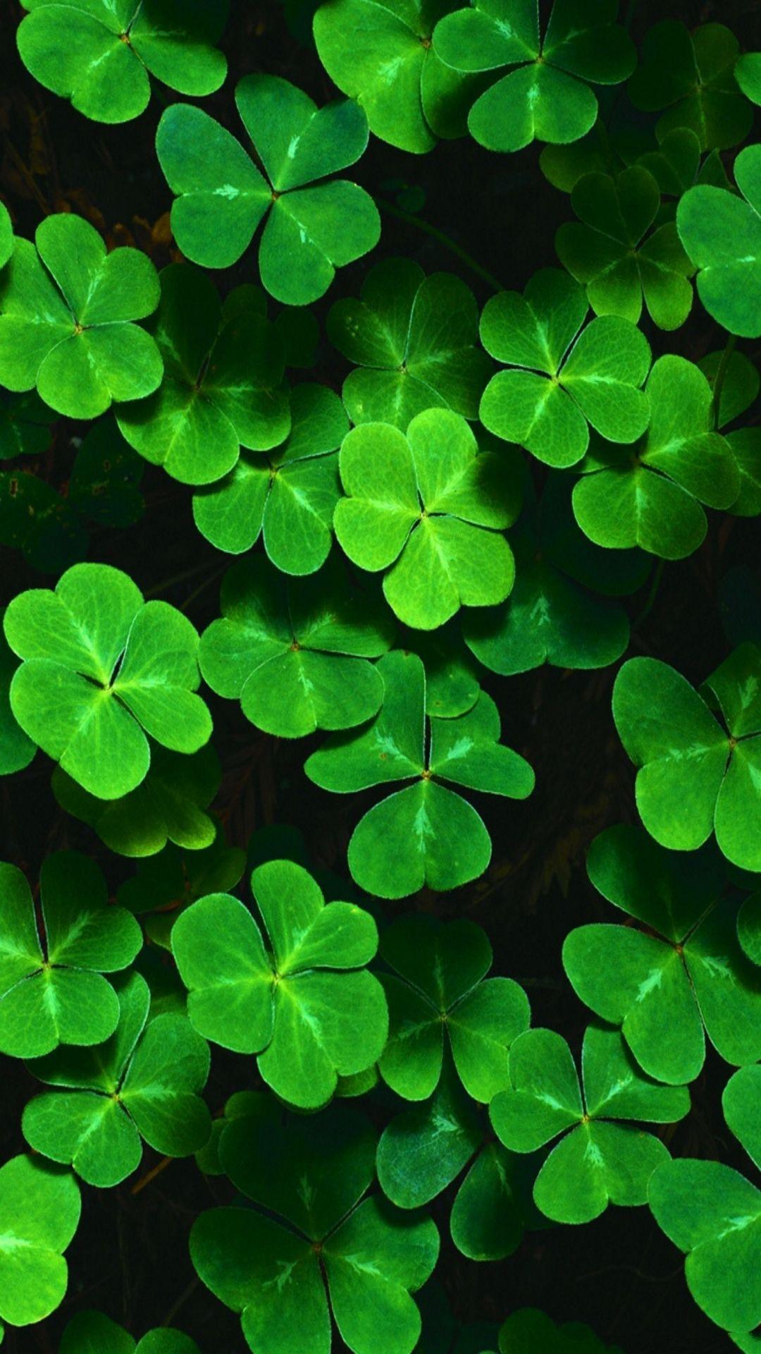 Free St. Patrick's Day Wallpapers - Wallpaper Cave