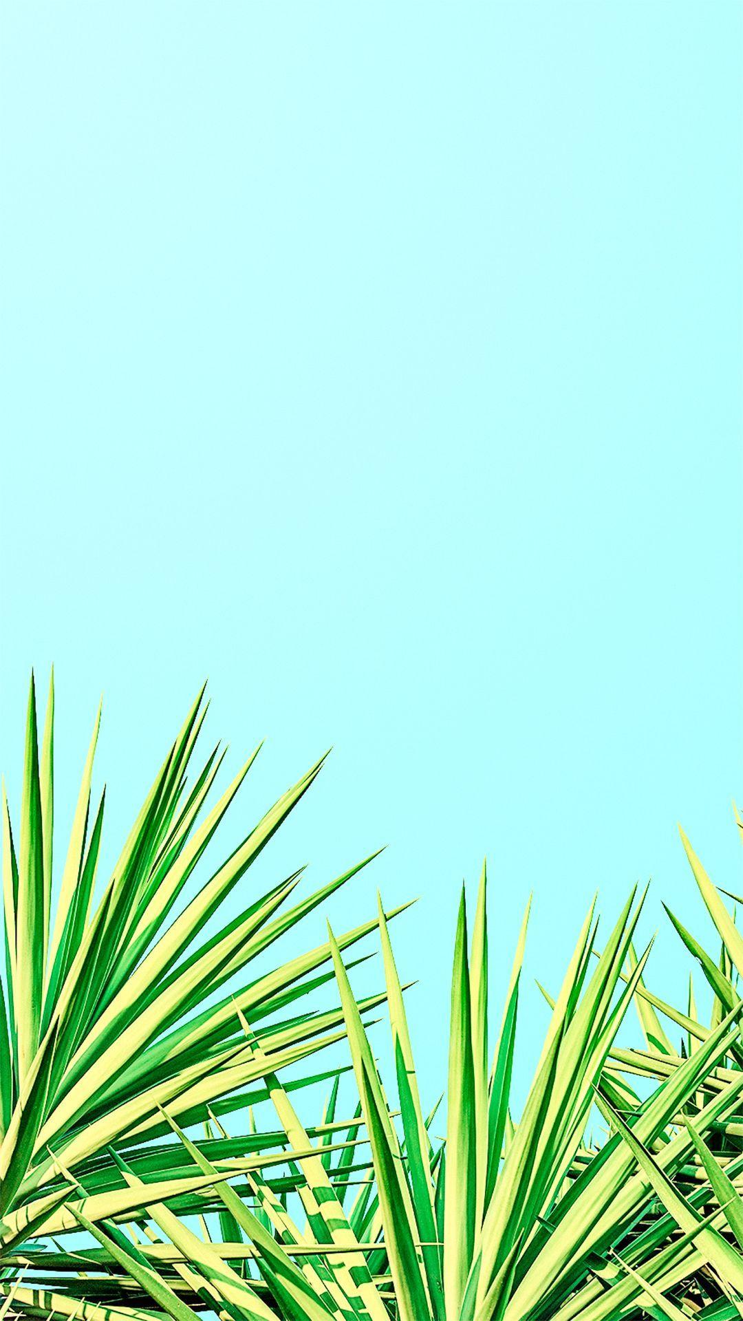 Wallpaper iphone summer, Minimalist wallpaper, Summer wallpaper