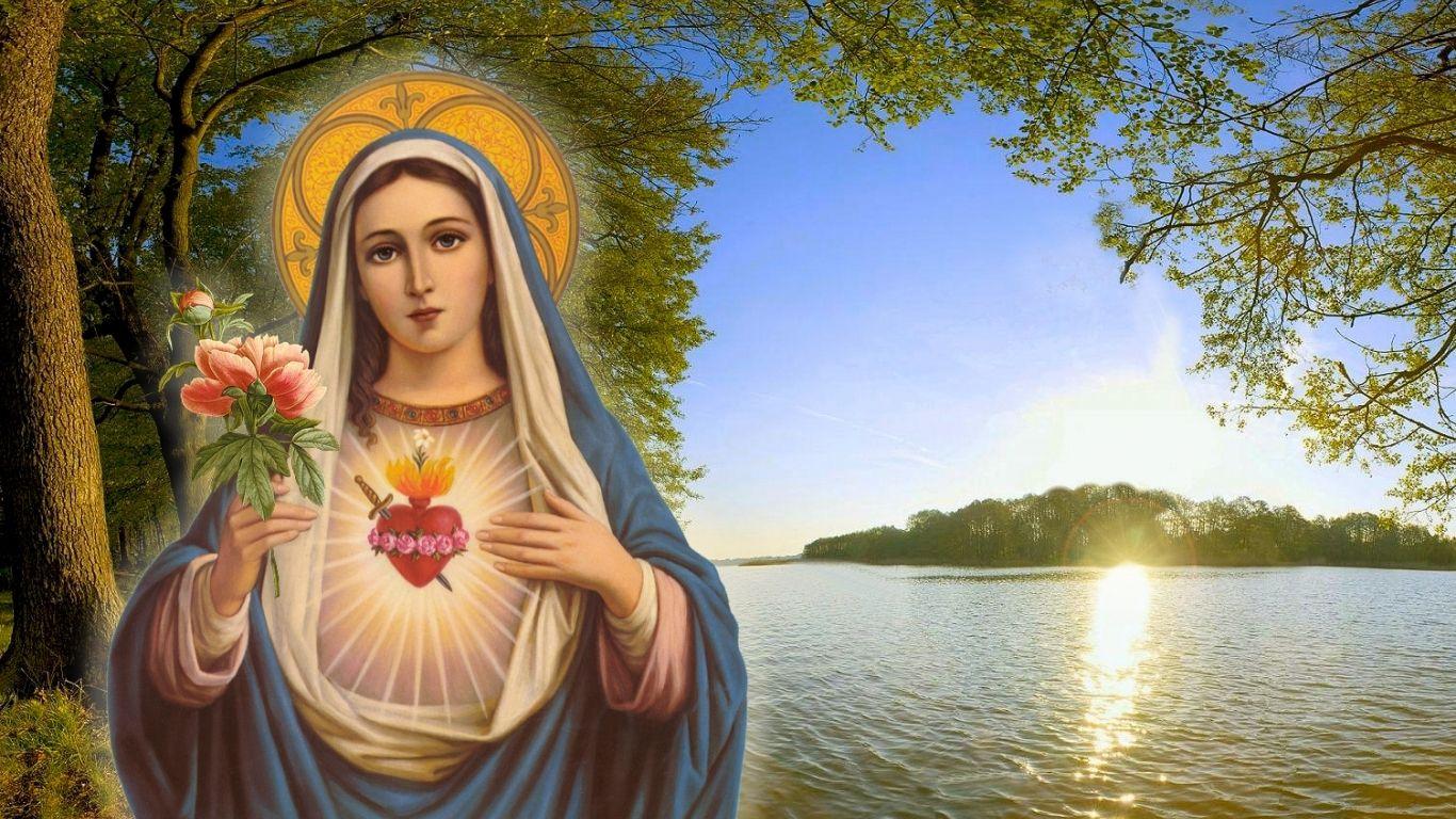 Mother Mary Image HD Wallpaper Free Download