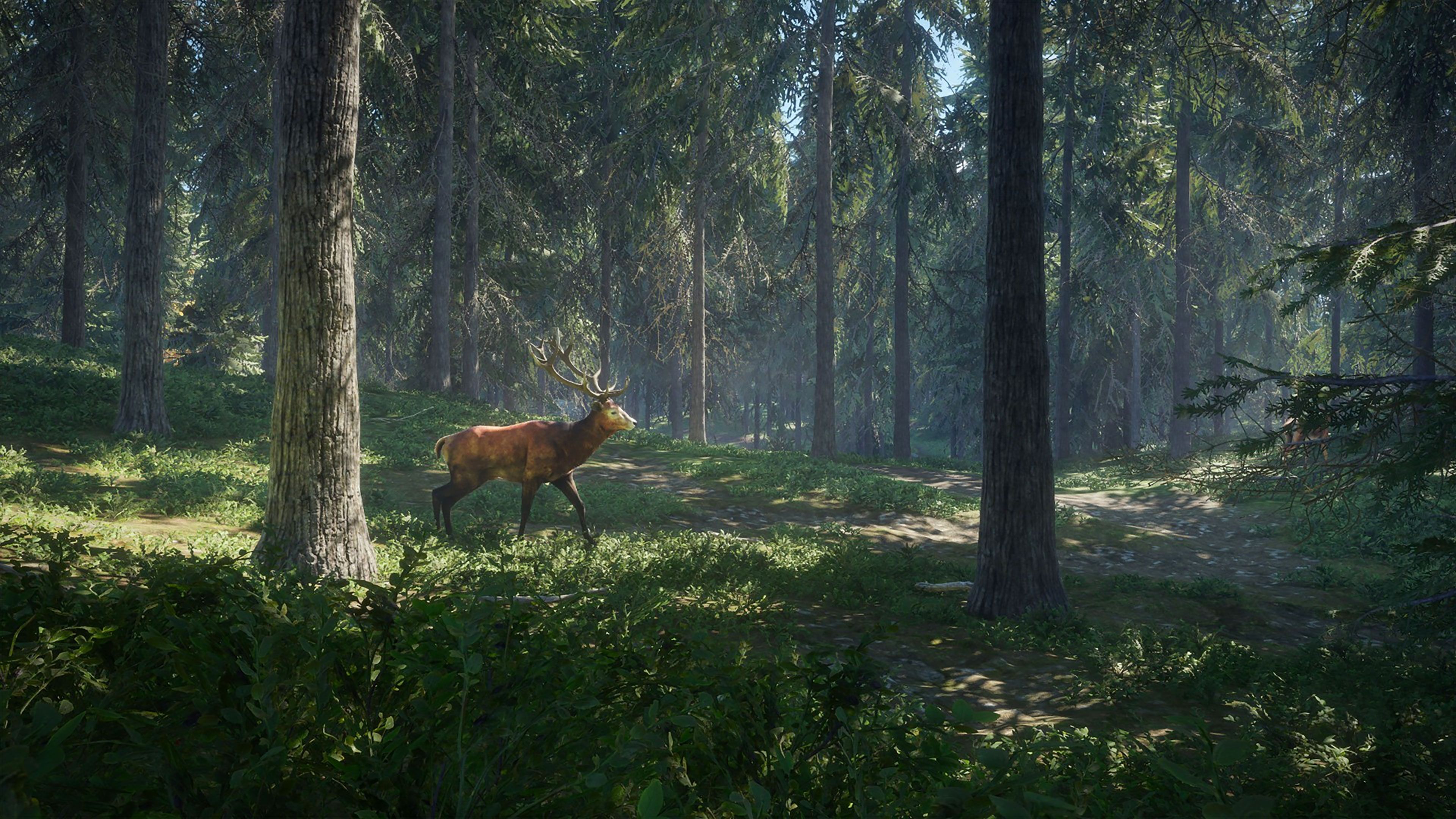 TheHunter- Call of the Wild Wallpaper in Ultra HDK