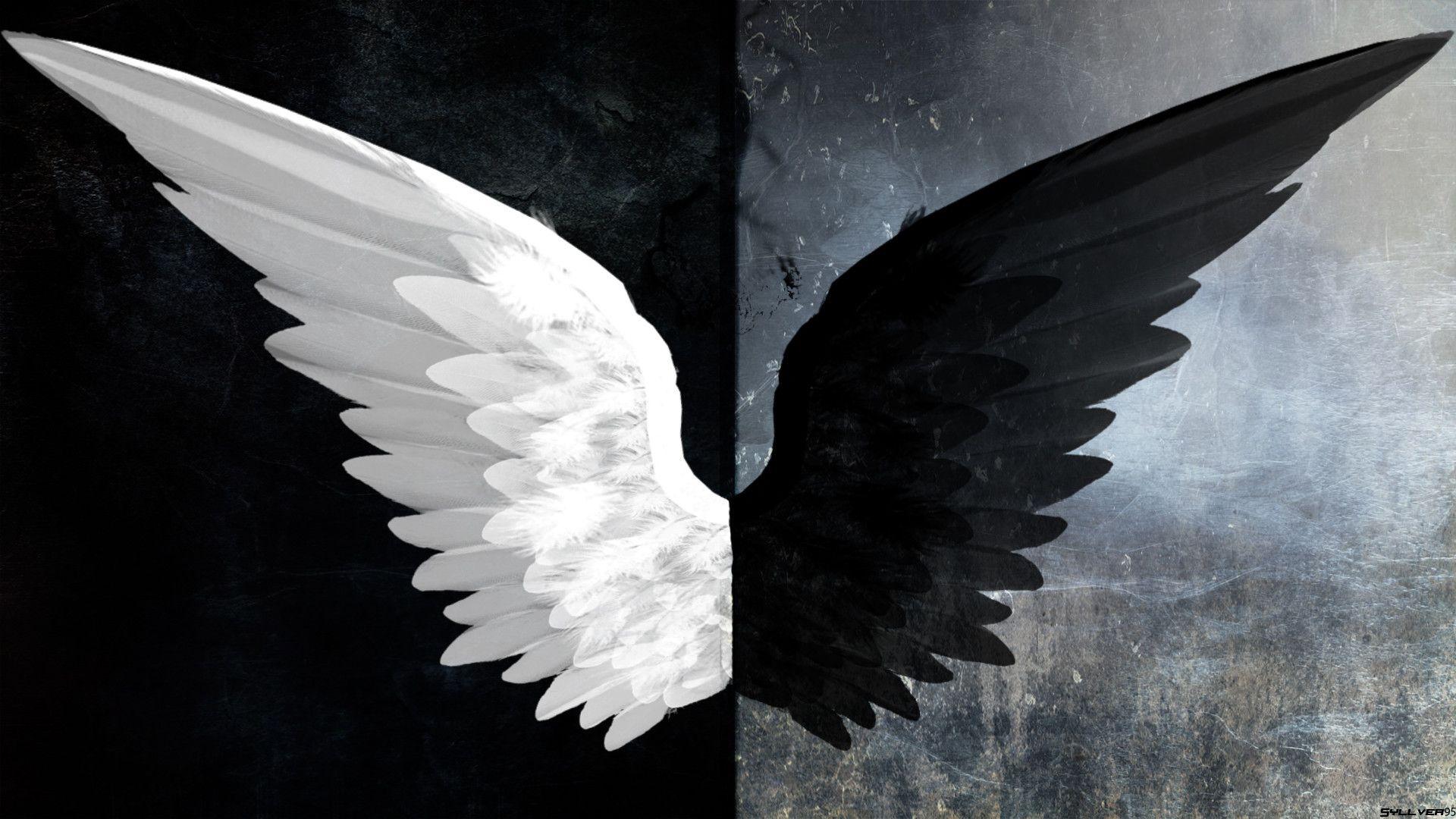 Angel Devil Wings Background Black Wing Devil Background Image for Free  Download