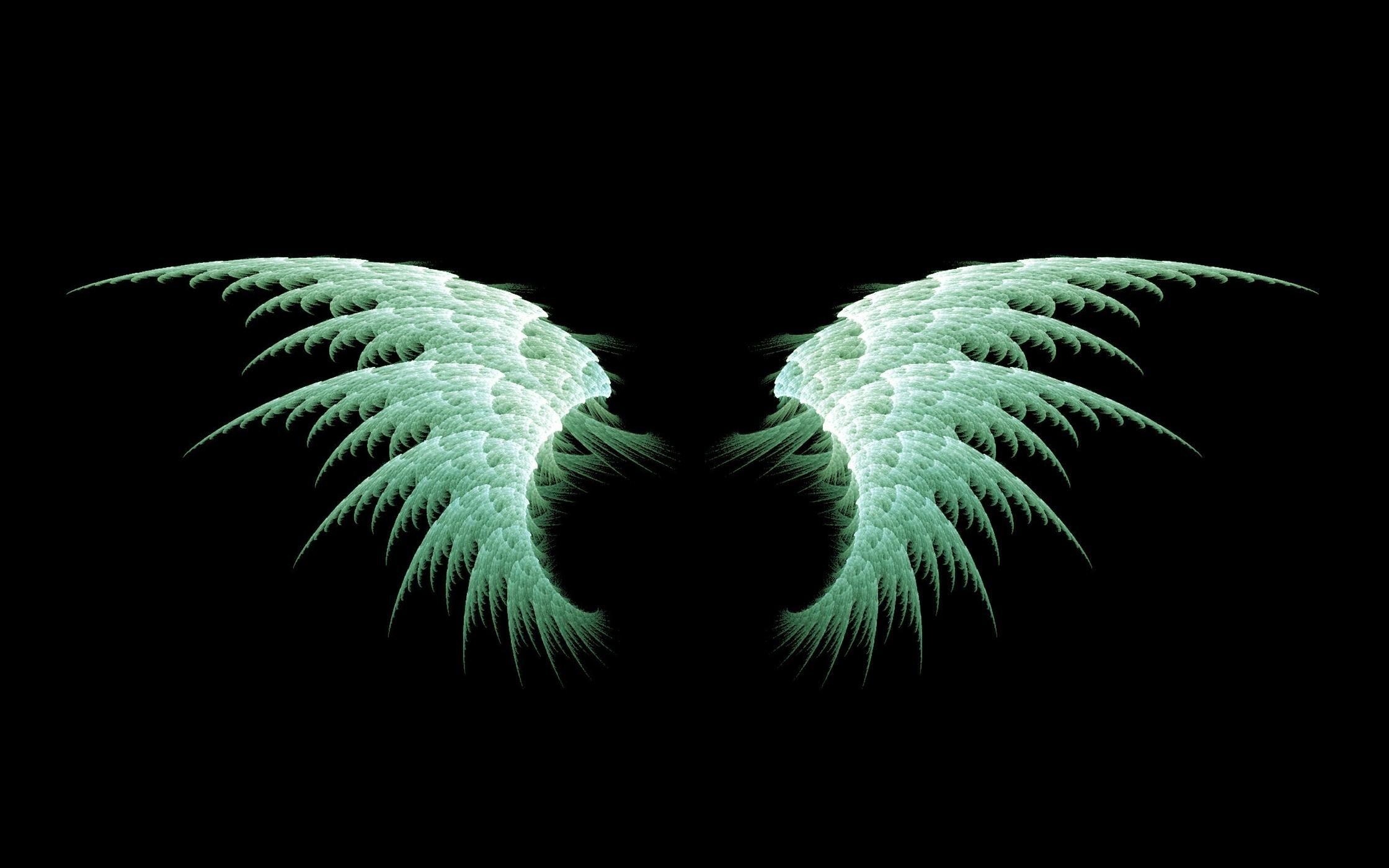 Anime Angel wings. Wallpaper, Background, Image, Art Photo