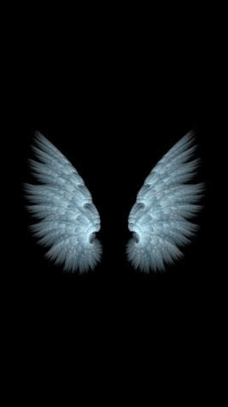 Random. Wings wallpaper, Angel, Wings