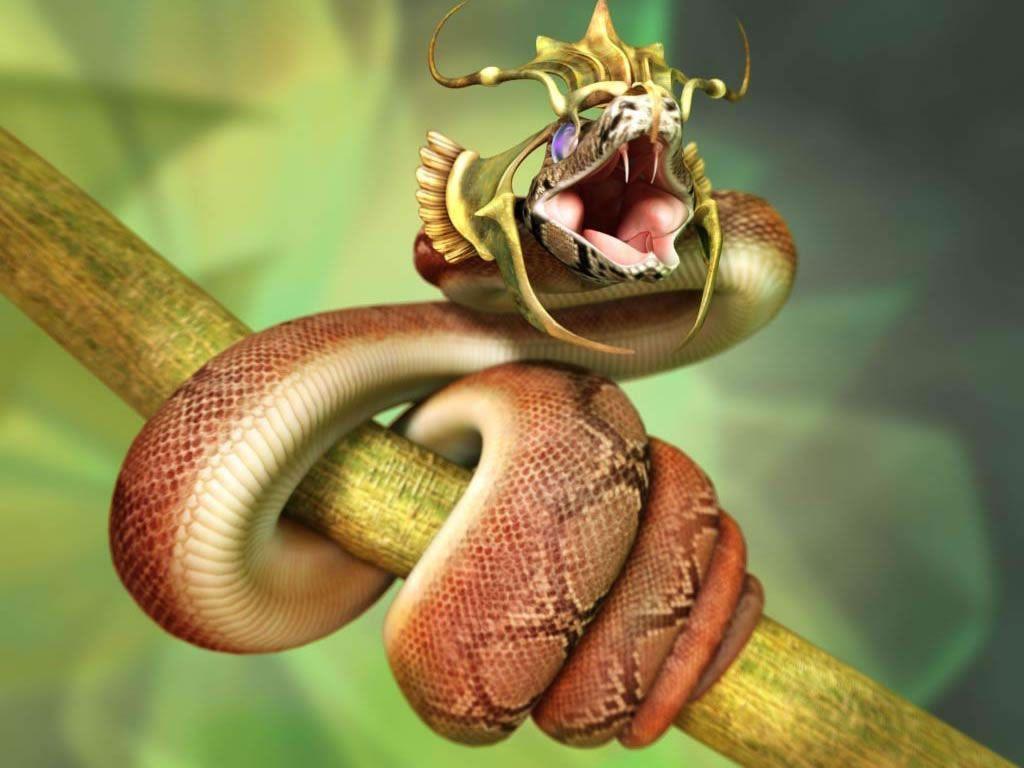 King Cobra Wallpaper Deskx768 px