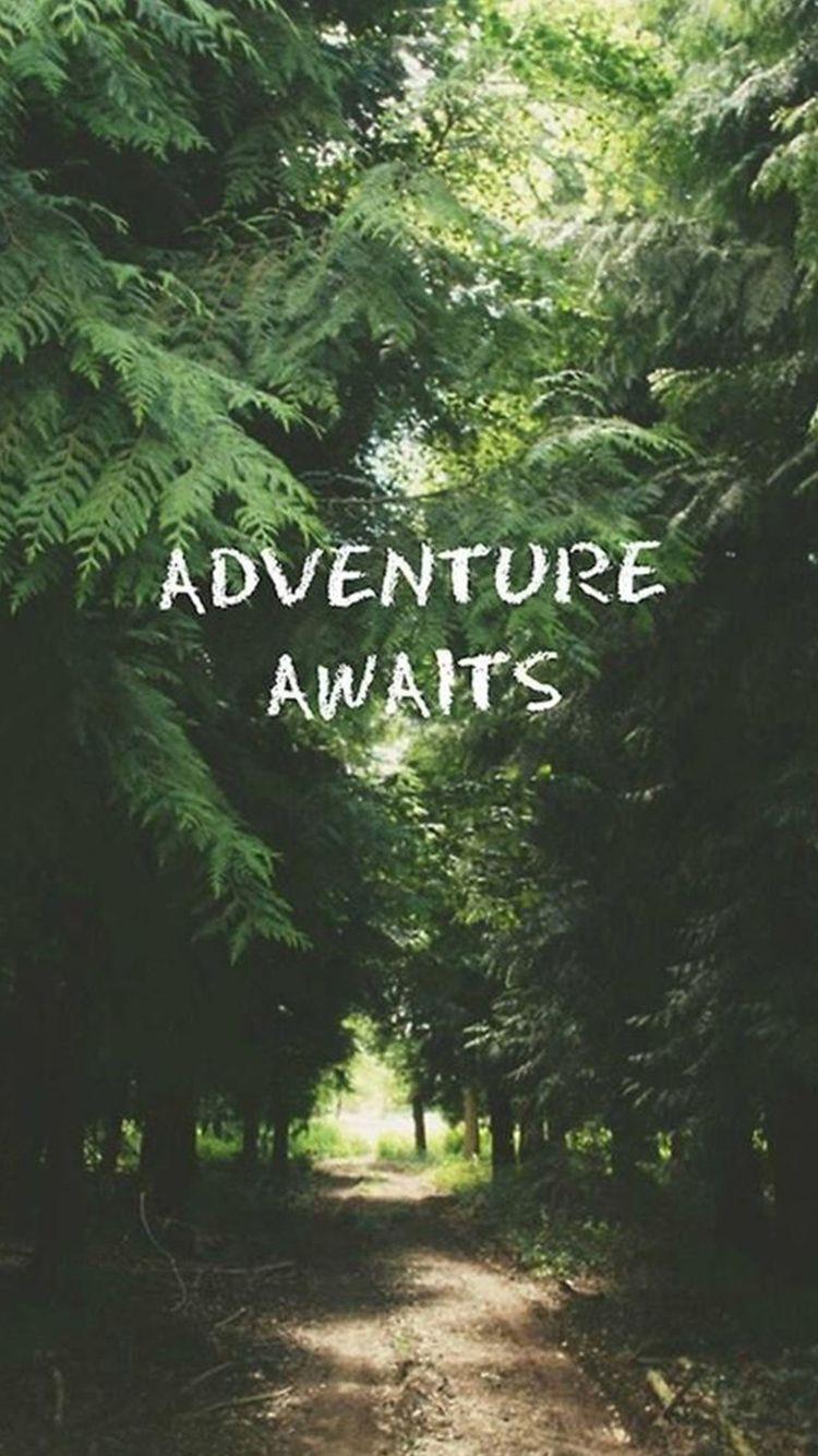 Adventure Awaits Forest iPhone 6 Wallpaper. aby. Abenteuer, Reisen