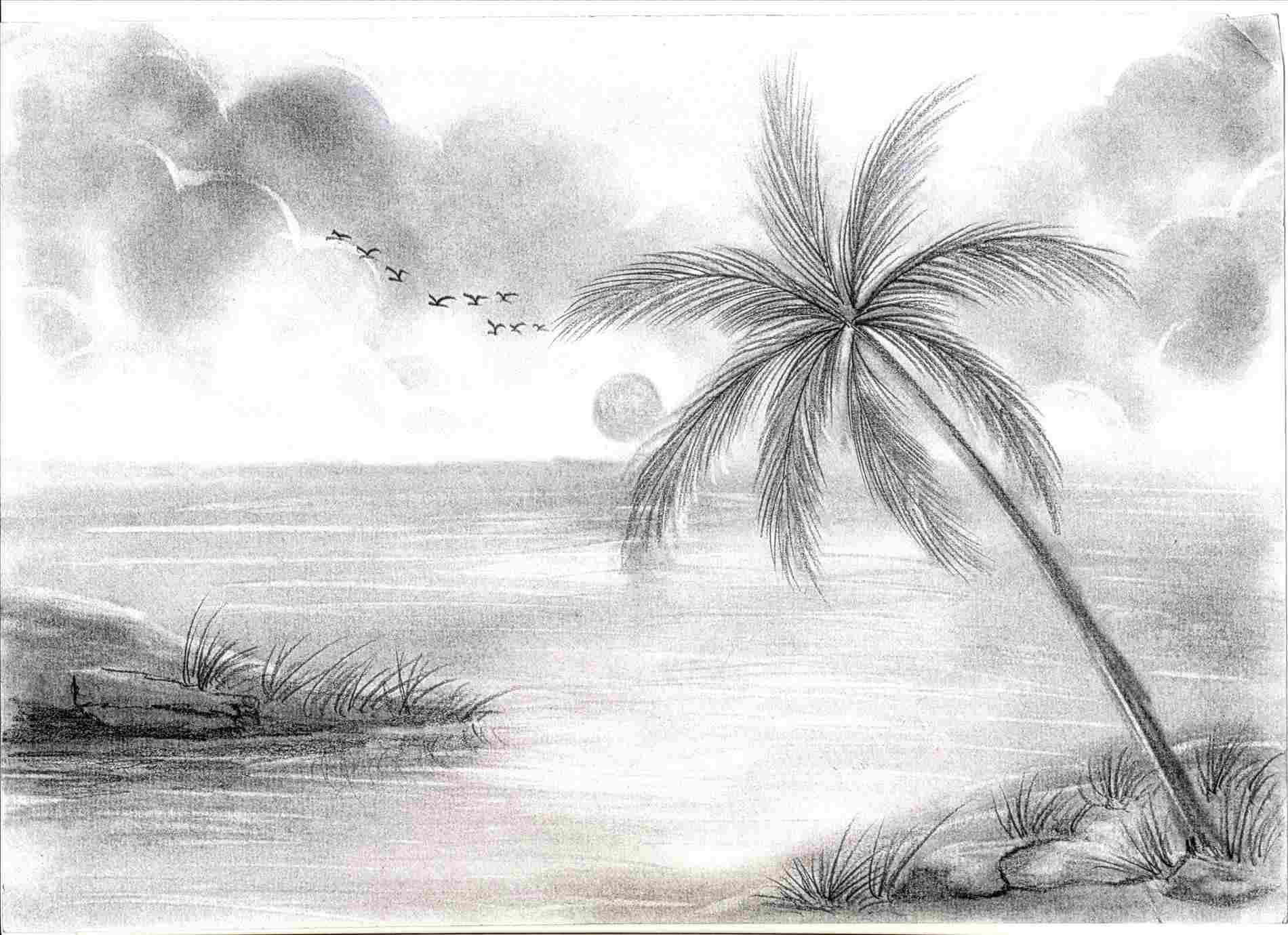Gallery Pencil Sketch Wonderful Of Pencil Drawings Landscape
