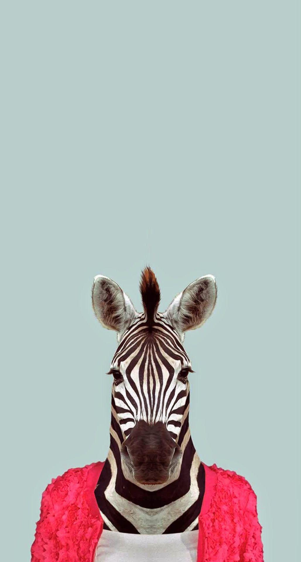 Cute Animals iPhone Wallpaper You Would Love to Download