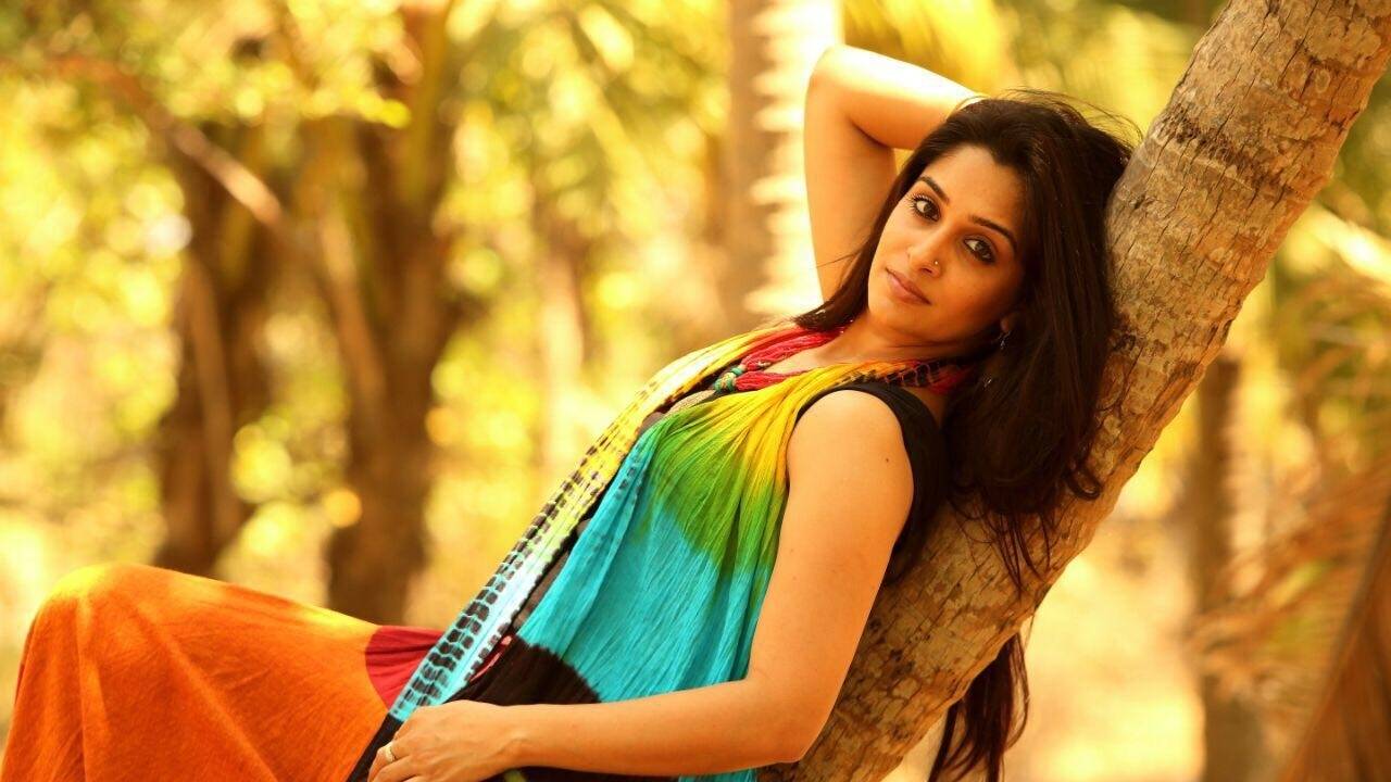 Dipika Kakar Hot Latest Full HD Image Wallpaper Gallery