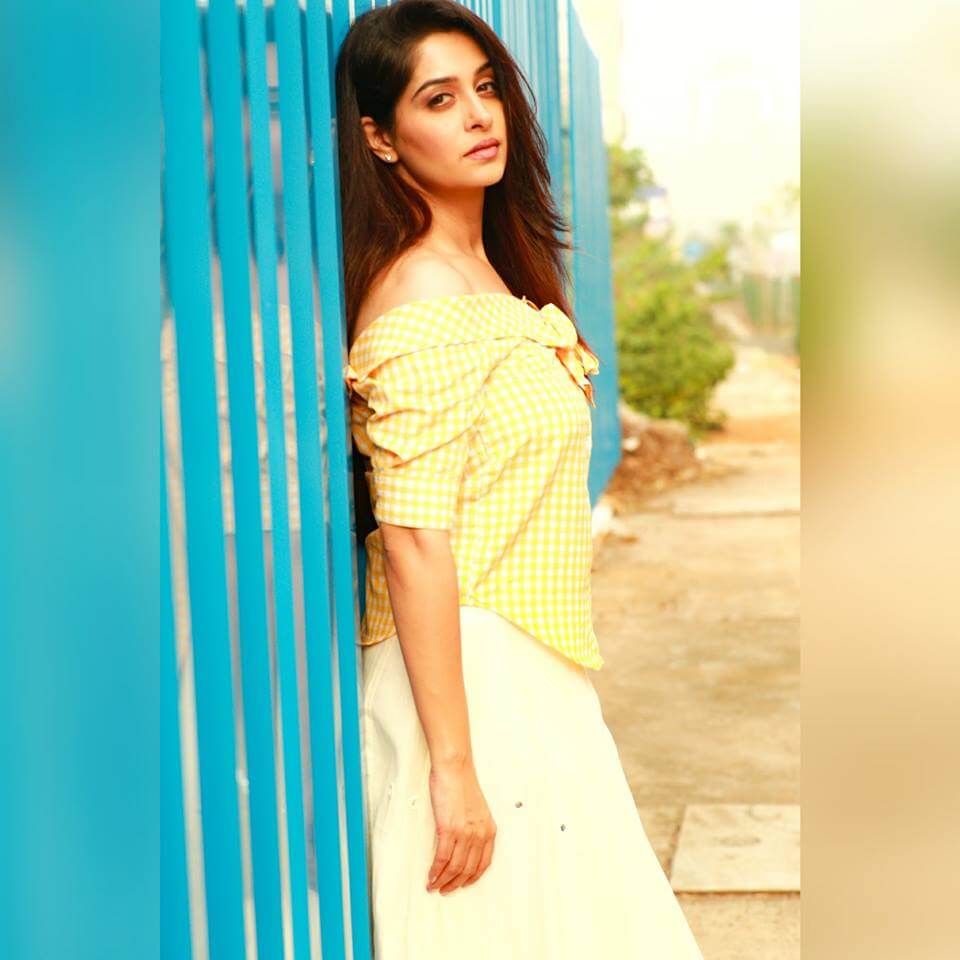 Dipika Kakar Image 11