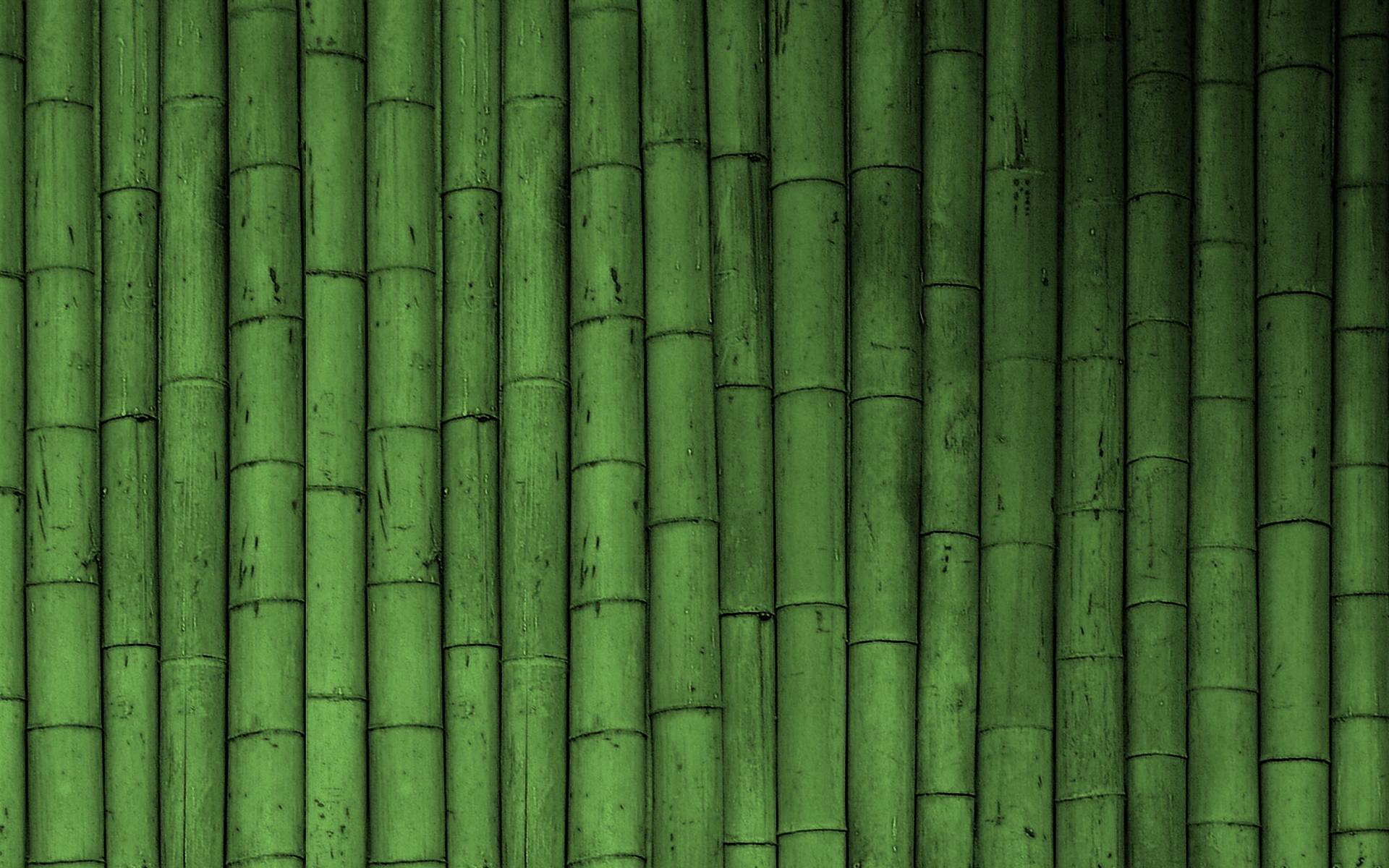 Bamboo Wallpaper 11 X 1200