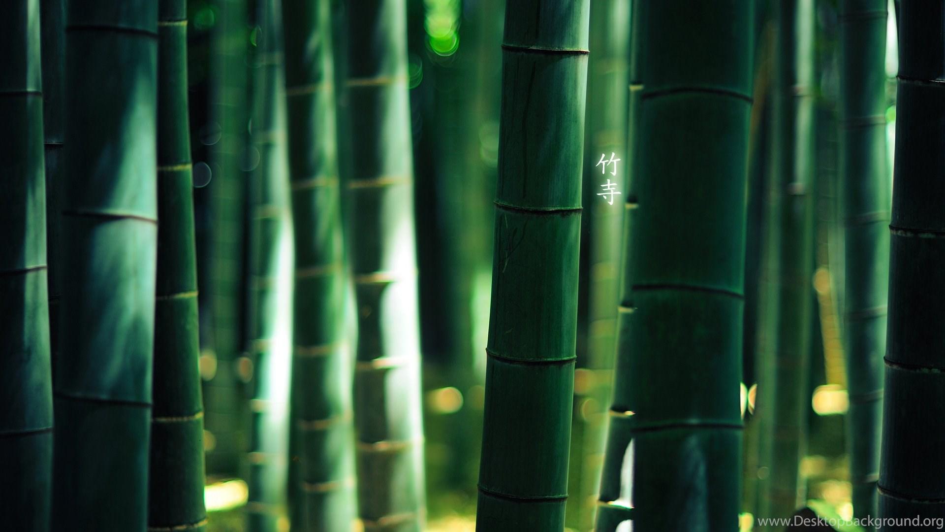 Bamboo HD Wallpaper Desktop Background
