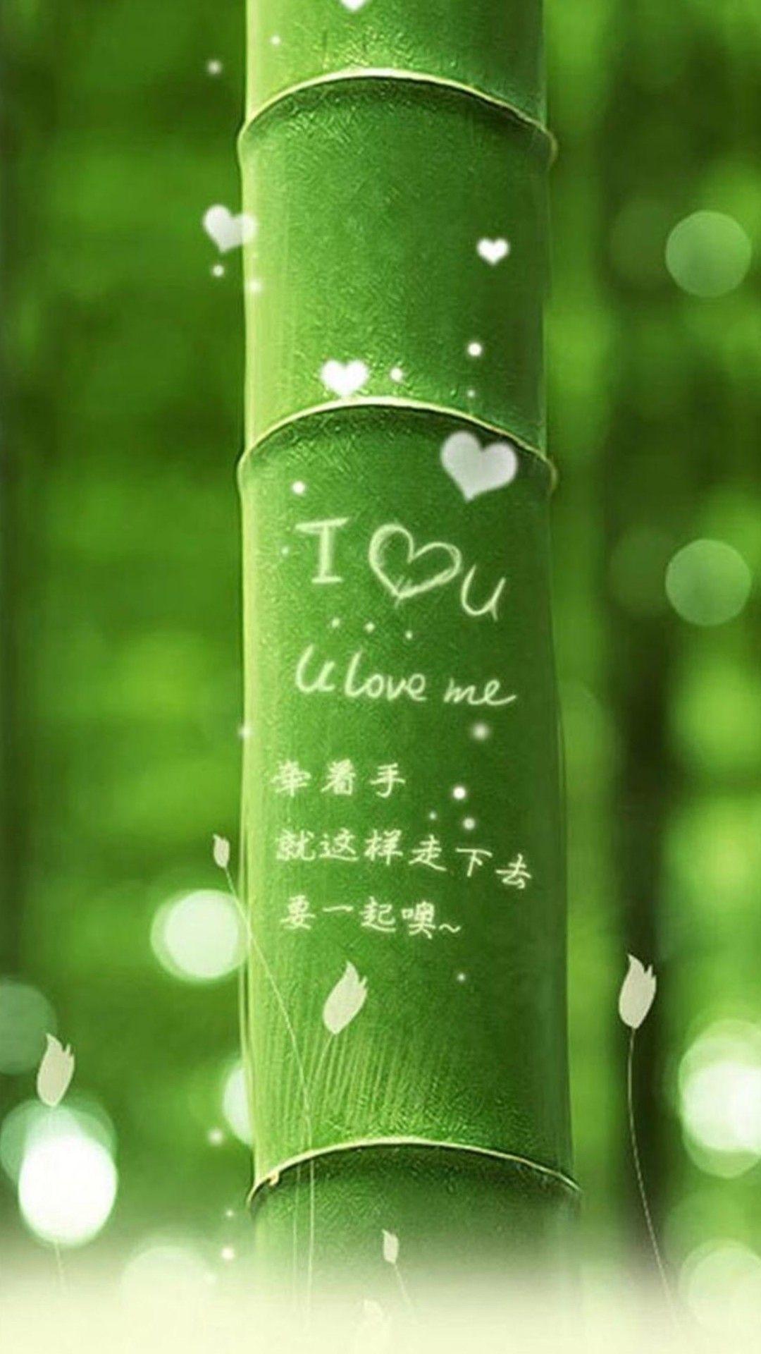 I Love You Bamboo Android wallpaper HD wallpaper