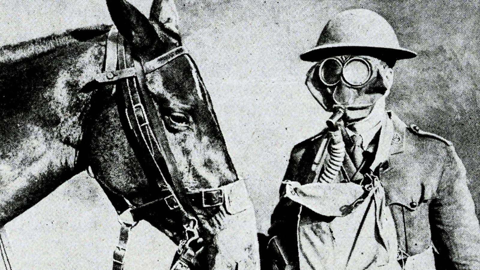 Gas Masked Soldier And Horse War One Wallpaper