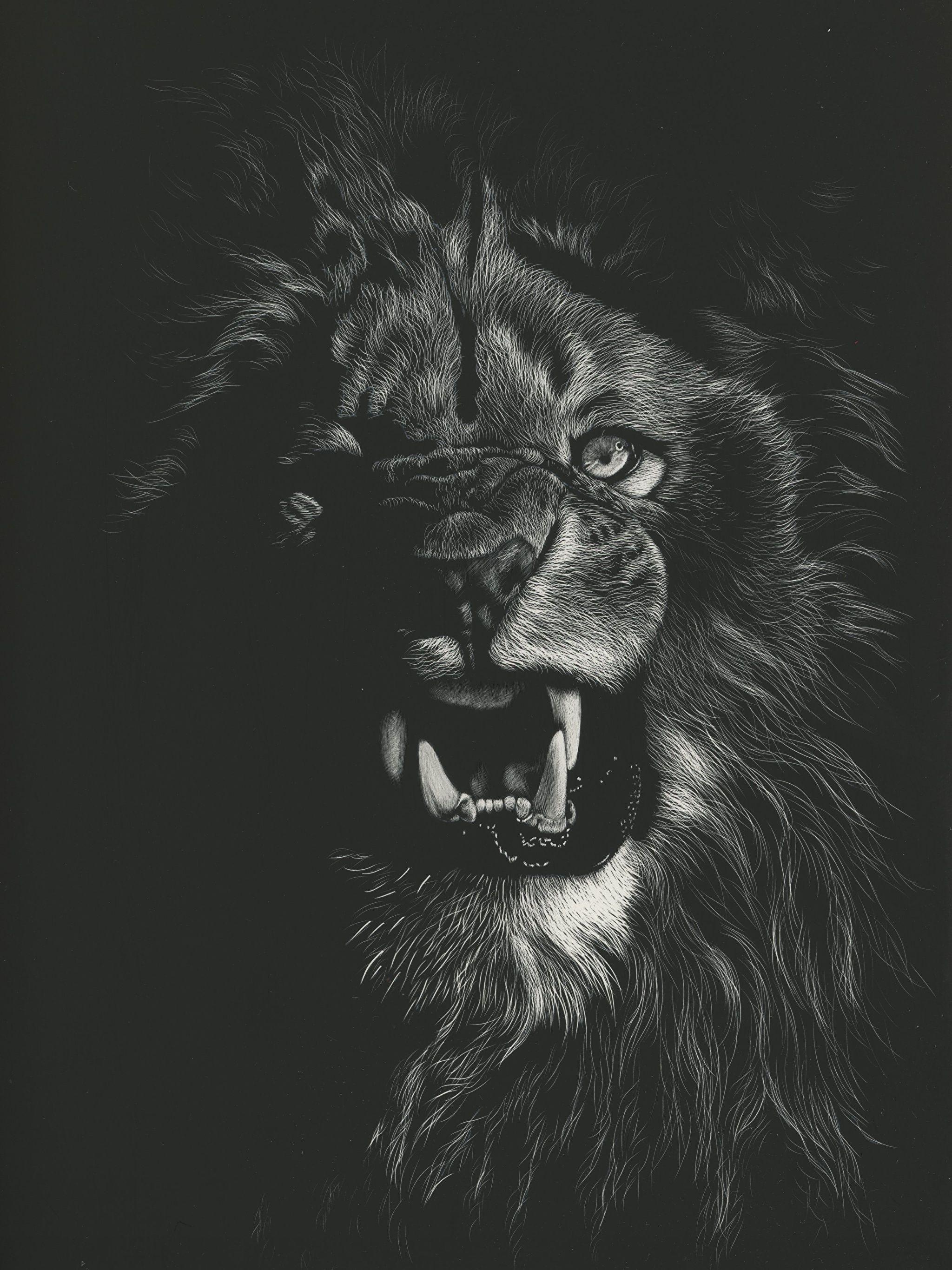 Wallpaper Lions Big cats Canine tooth fangs angry Black 2048x2732