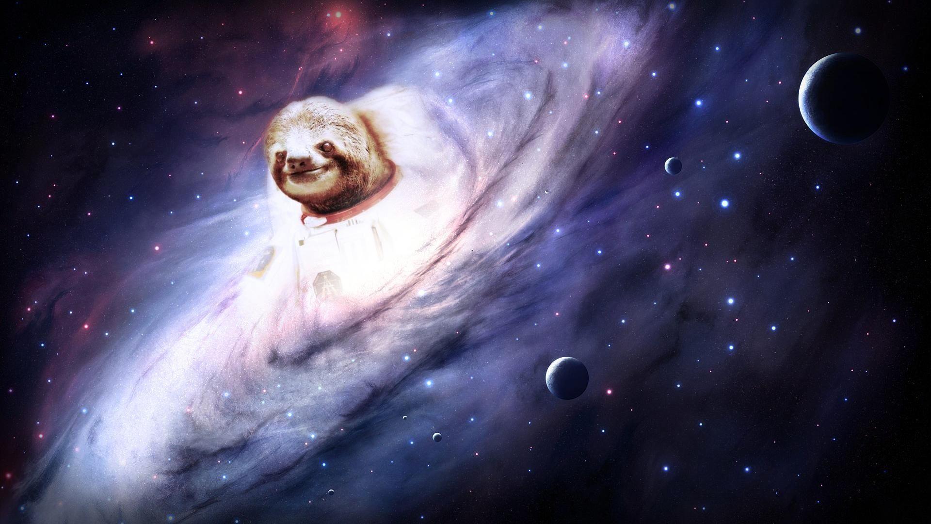 Sloth WTF Stars Planets wallpaperx1080