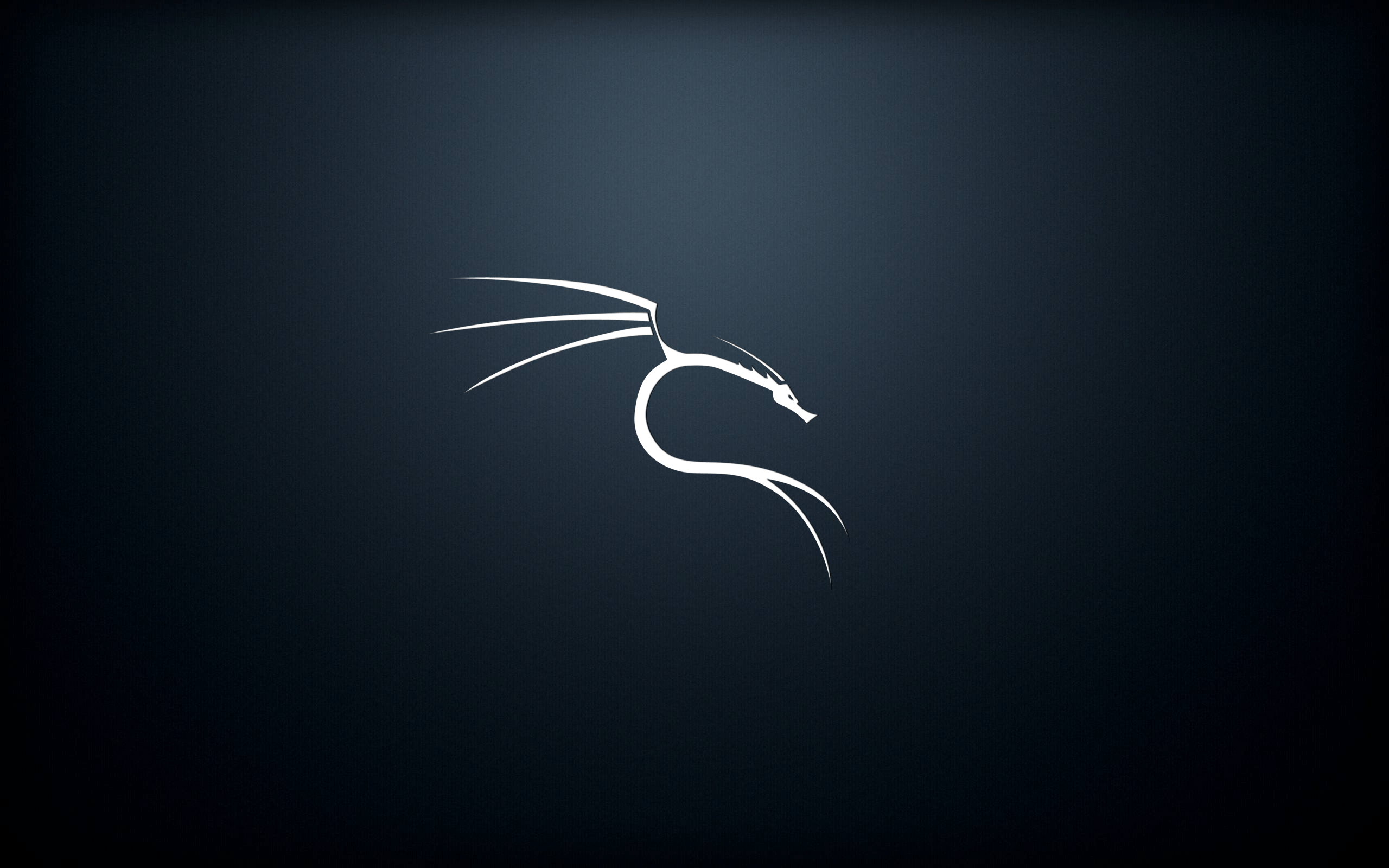 download kali linux for pc