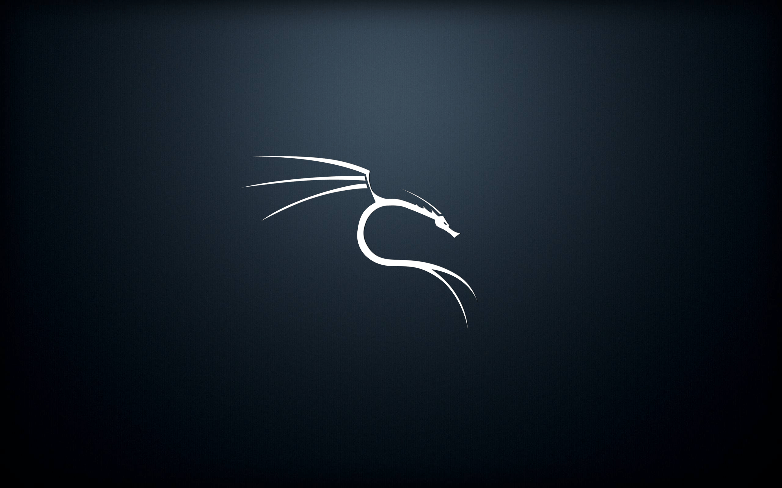 instal the new for mac Kali Linux