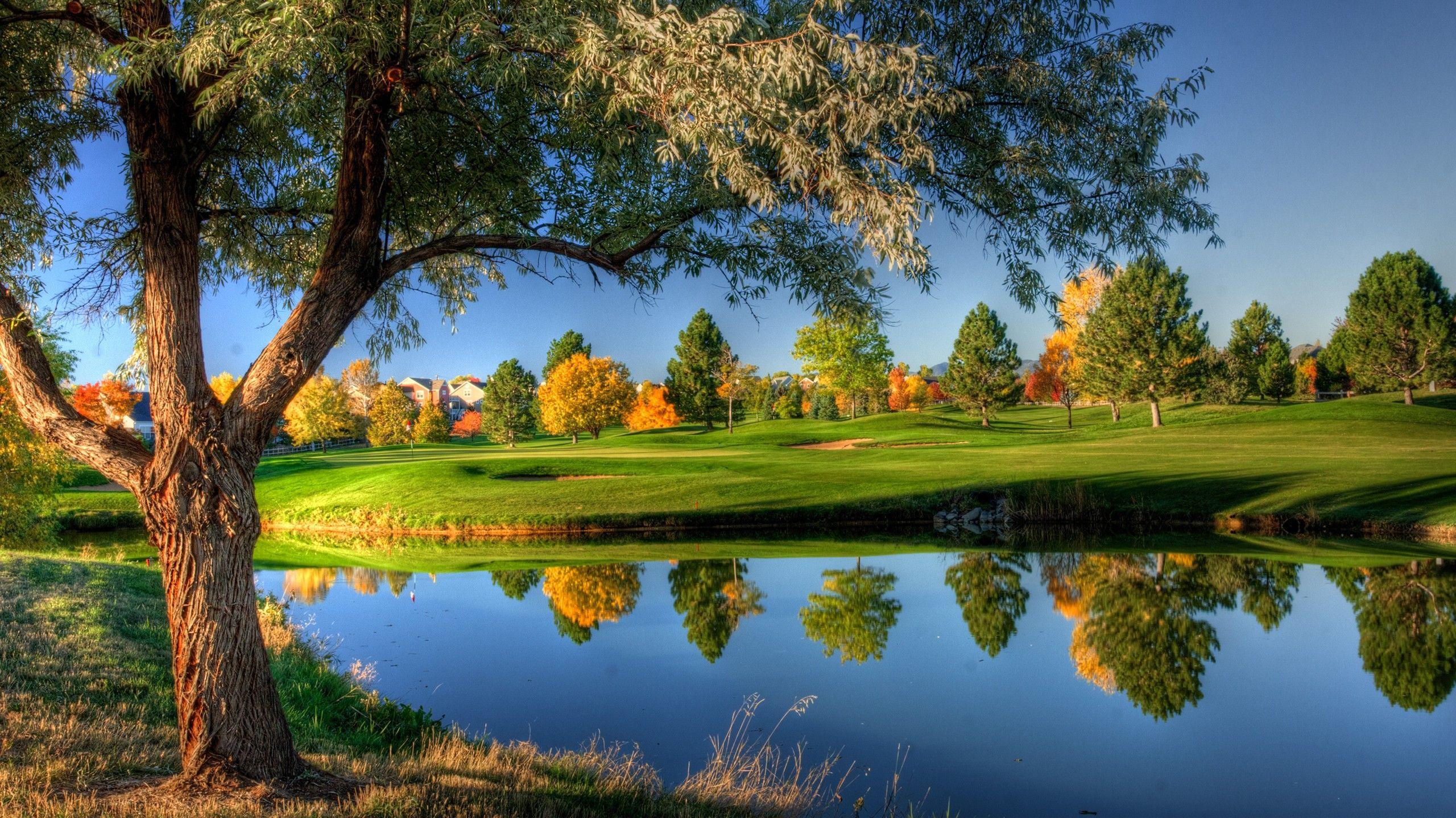 Pond Wallpaper and Background Image