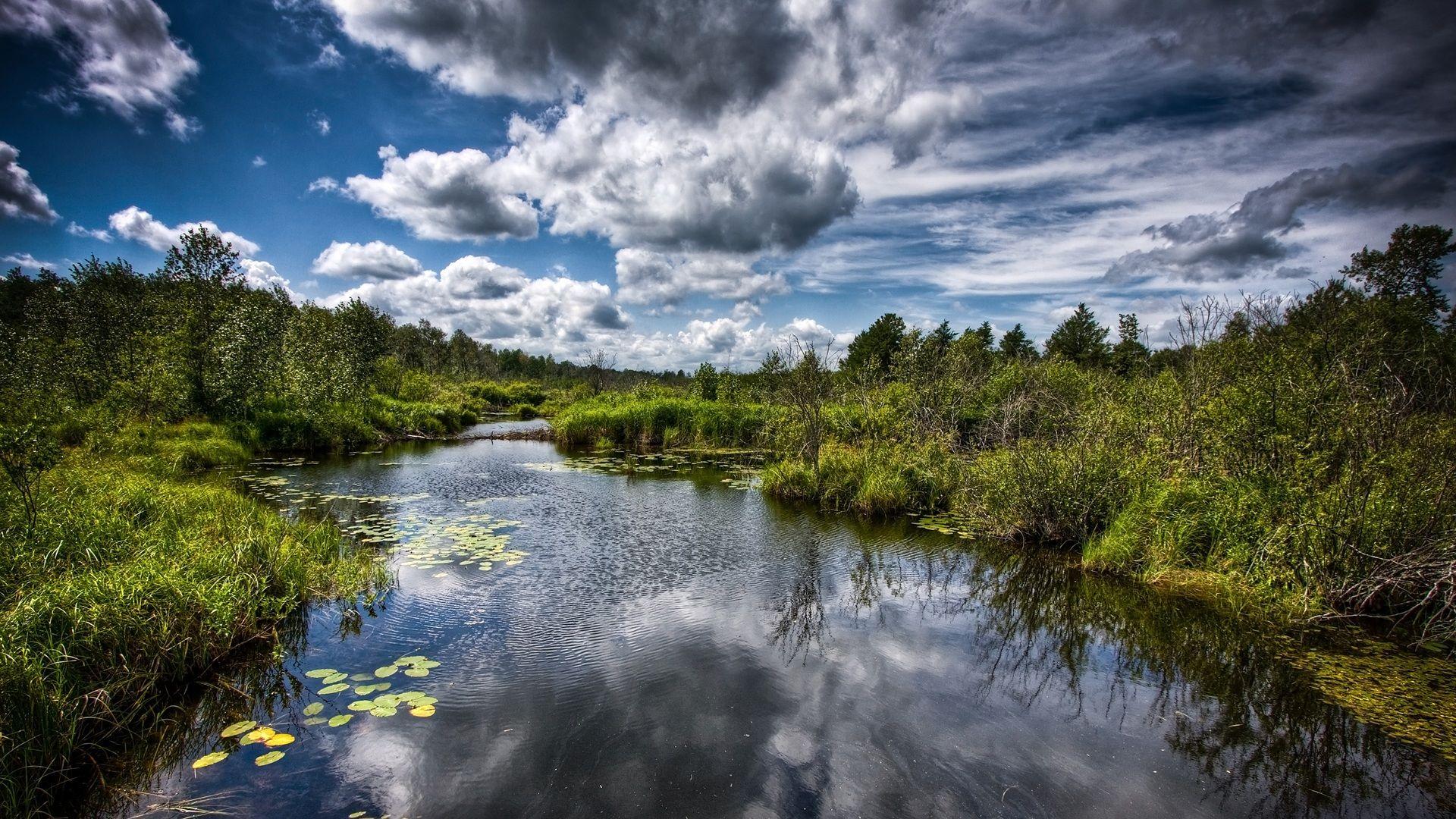 Pond Wallpaper 29684 1920x1080px