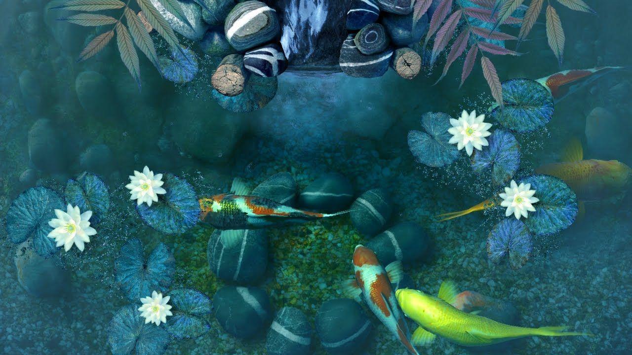 Koi Pond 3D Screensaver & Live Wallpaper HD